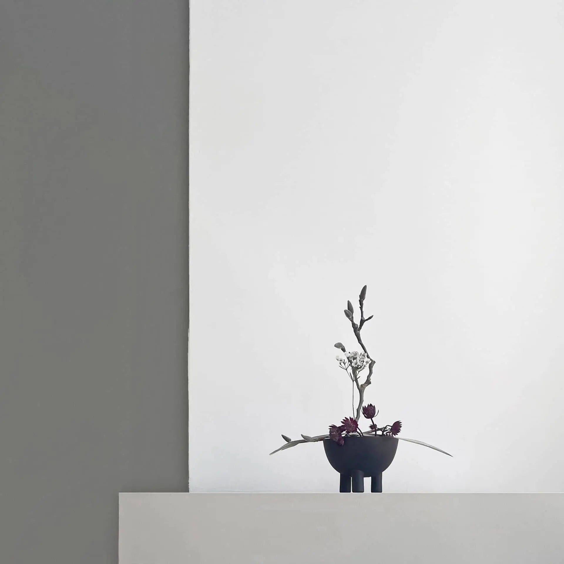 A minimalist arrangement of dark red flowers and green stems in a small black vase sits on a white surface against a gray and white background, paired with the 101 Copenhagen Duck Bowl, Mini—ideal for elevating your home decor.