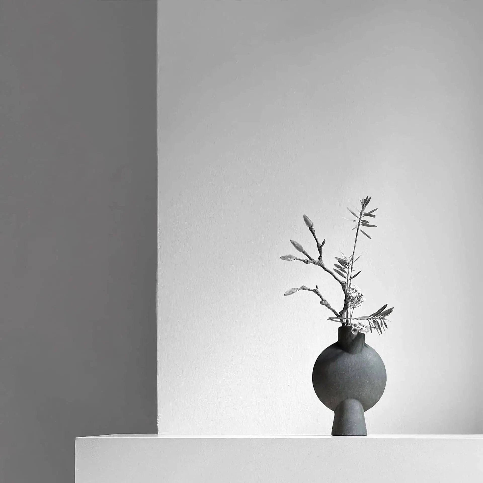 The 101 Copenhagen Sphere Vase Bubl, Mini by 101 Copenhagen, featuring a minimalist geometric design with thin branches and delicate leaves, sits on a white surface against a light gray wall for an elegant home décor look.