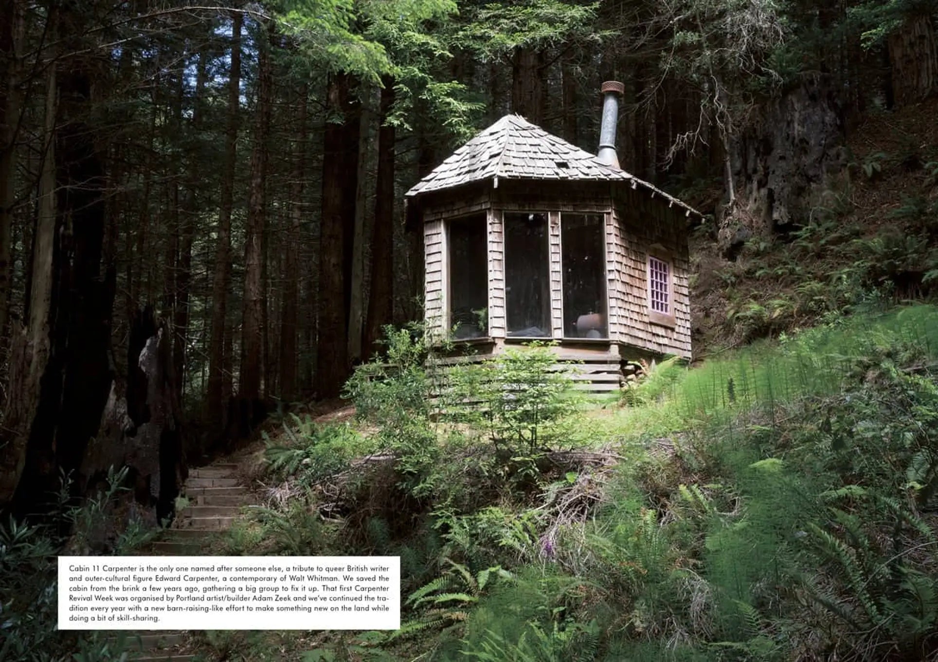 Apartamento Magazine Issue #28 by Apartamento captures the charm of a small wooden cabin with a shingled roof on a sunlit slope, surrounded by lush forest and greenery, creating an atmosphere reminiscent of a graphic novel.