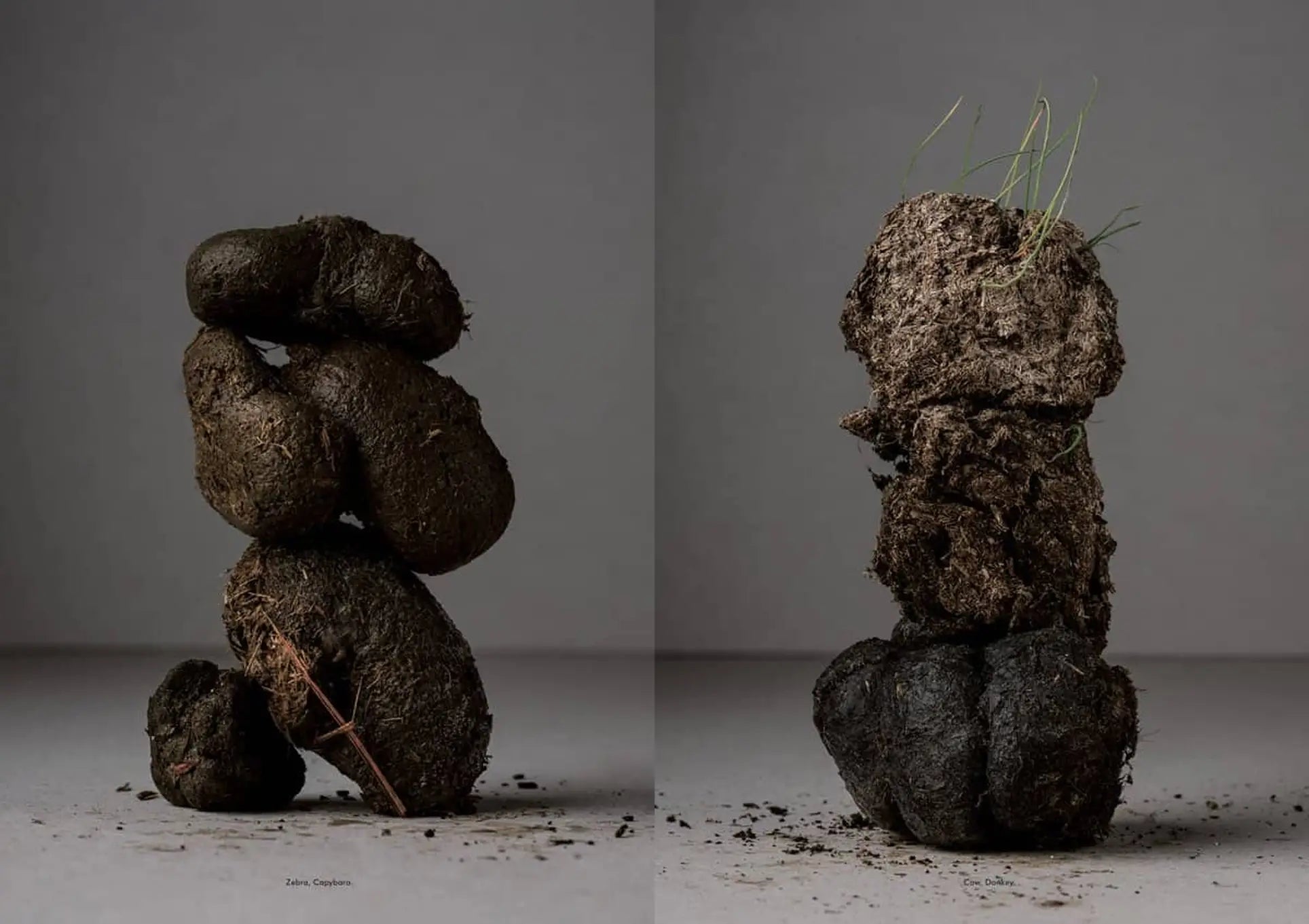 Two stacks of animal dung, one dark with straw and one light with grass and soil, sit against a plain backdrop—evoking graphic novel scenes—in Apartamento Magazine Issue #28 by Apartamento.