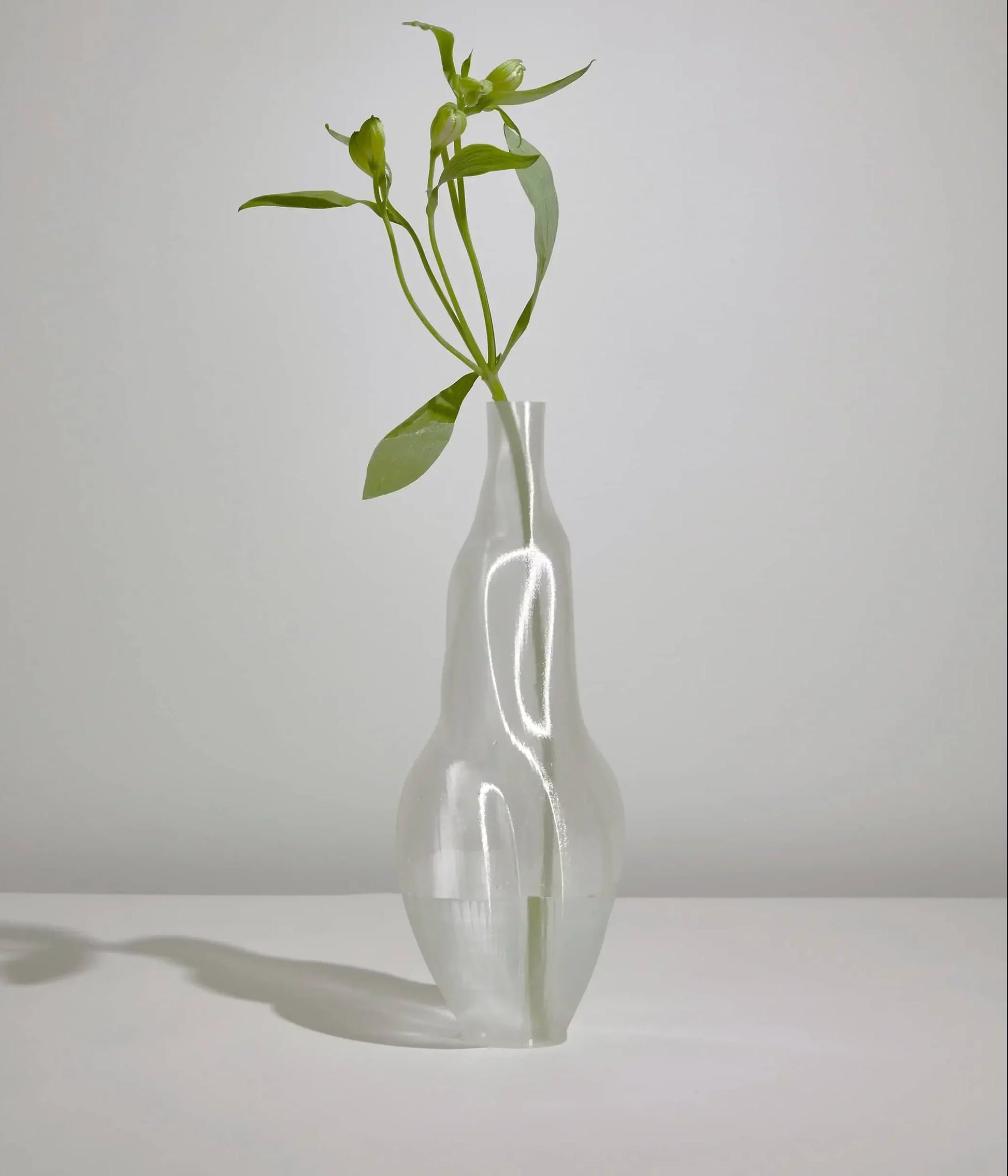 The Argot Studio Éson Vessel, Medium—a translucent, modern vase by Argot Studio—displays green leafy stems and casts a soft shadow on a white surface against a light gray background.