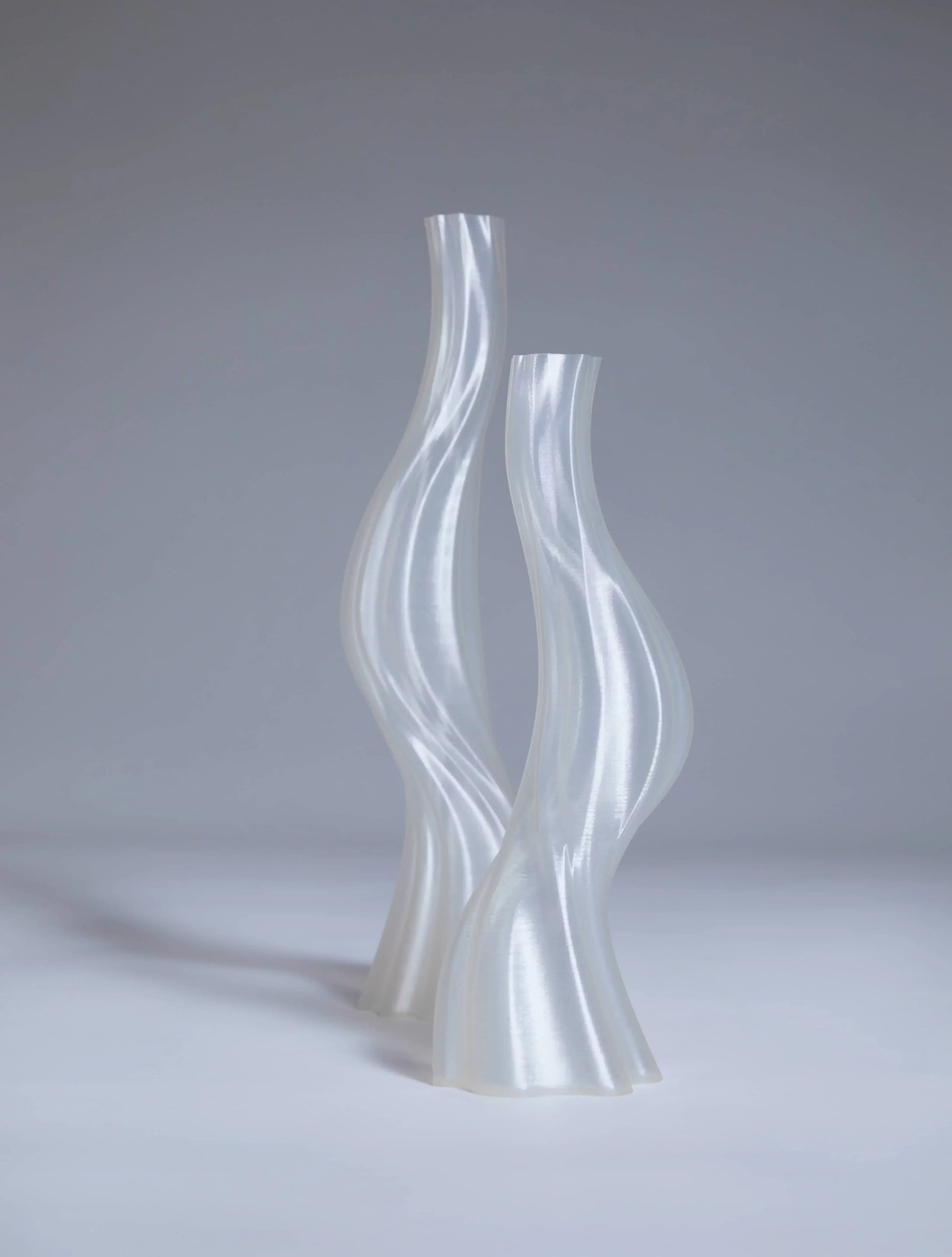 Argot Studio Les Hortenses Vase Small Transparent 5 E16969246408