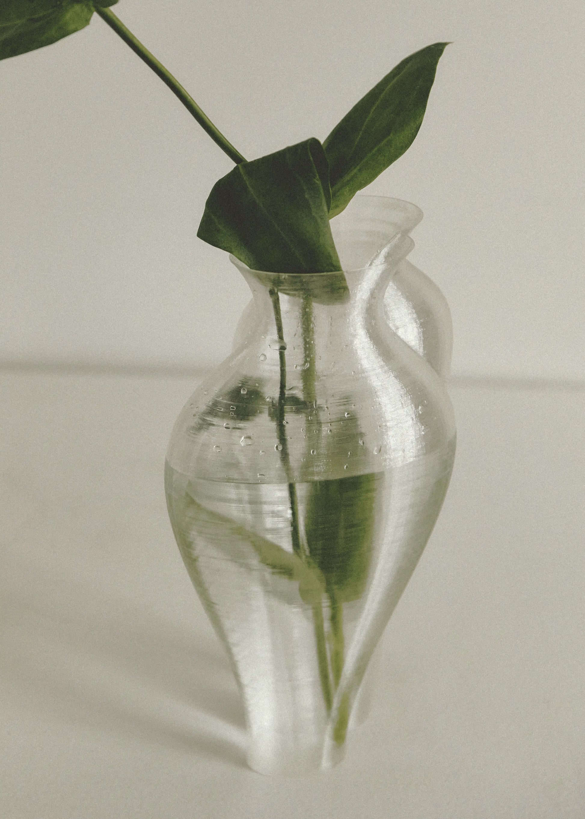 A green leafy stem stands in the Argot Studio Soeurs Vase filled with water, droplets and reflected light playing on its modern clear surface, set against a plain, light-toned background.