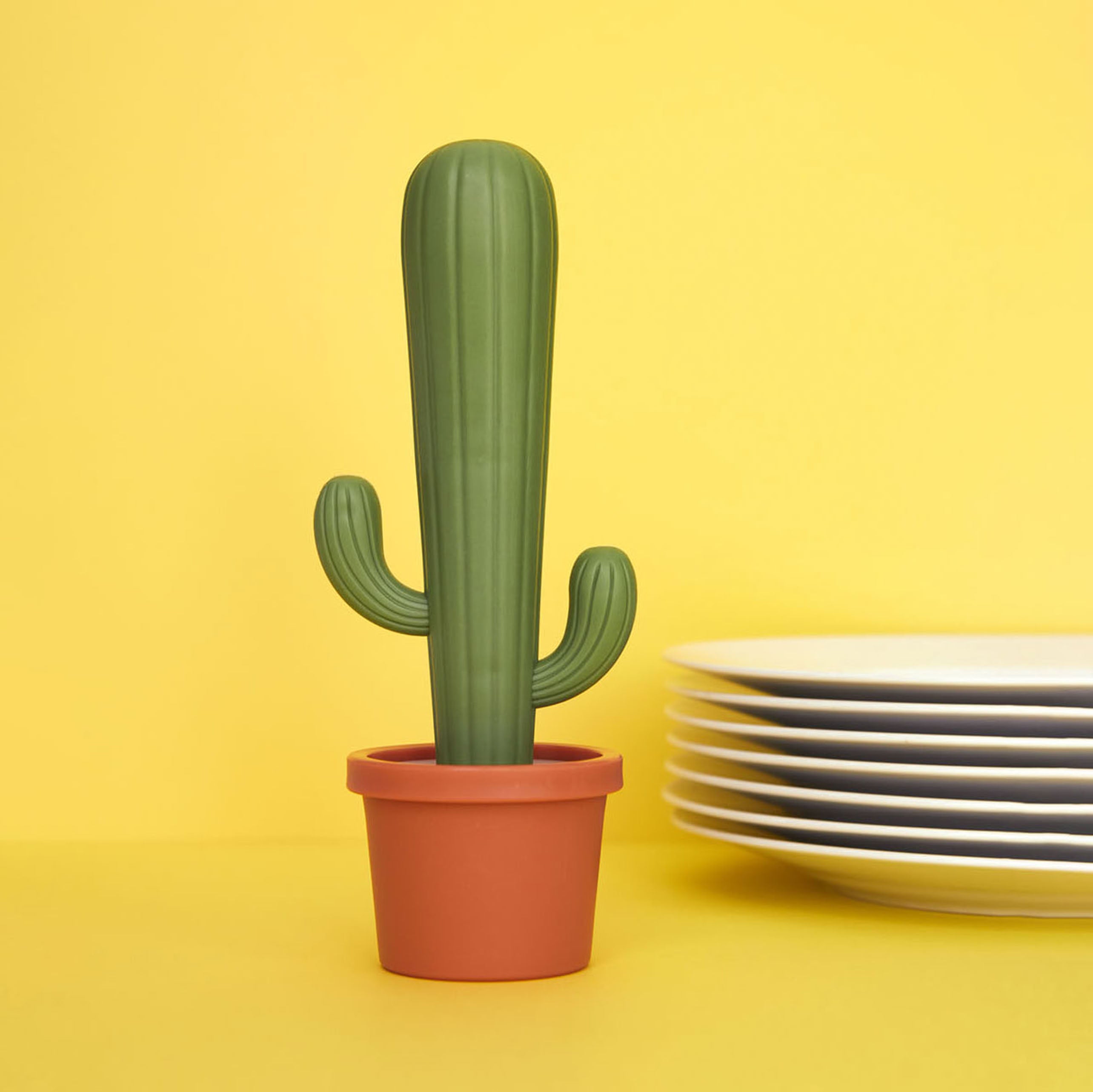 Balvi Cactus Dish Brush