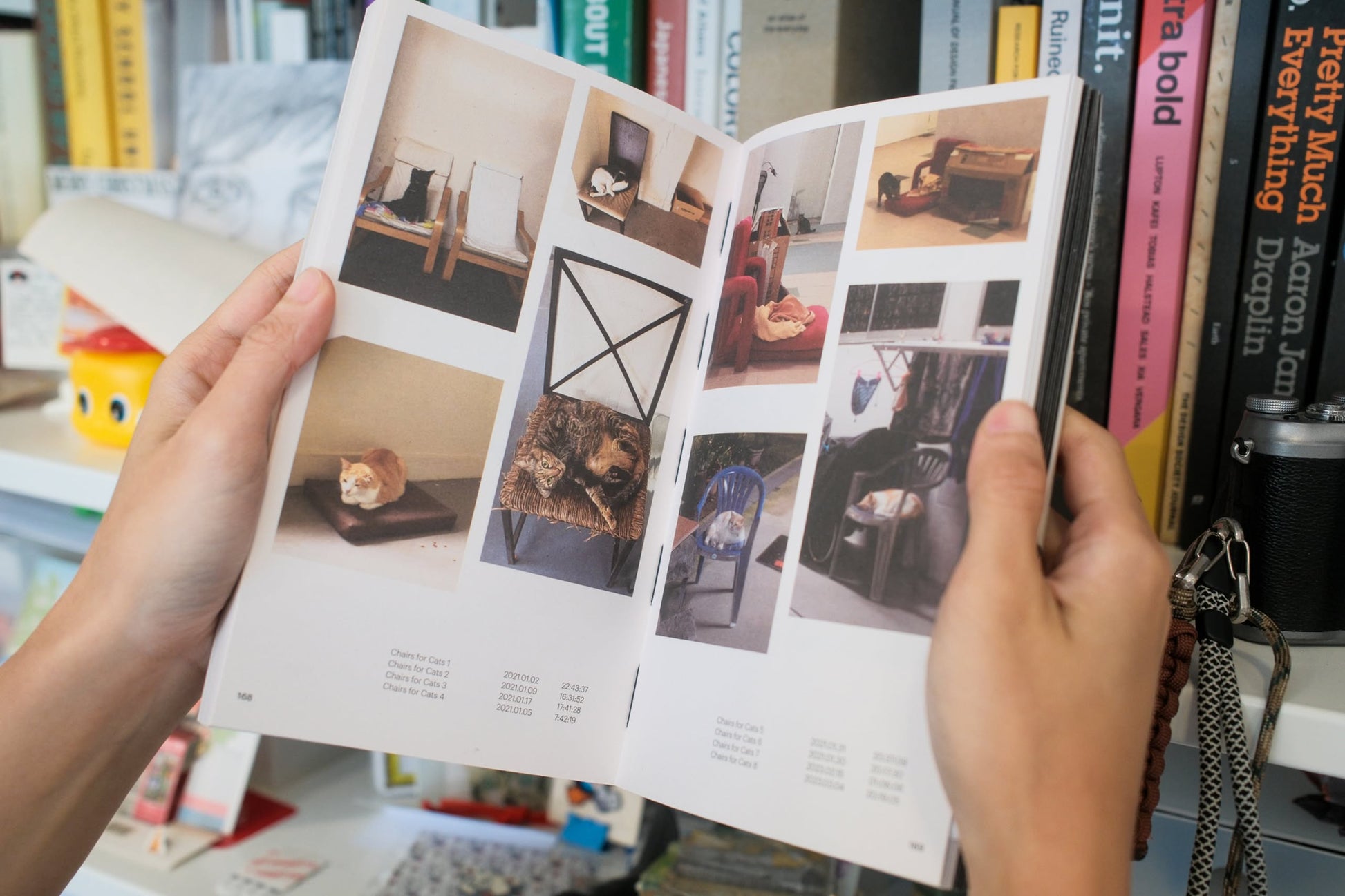 A person holds open Bluetaped Refuse: A Dumpster Diving Craft Handbook by Wong Eng Geng (Bluetaped), showing photos of upcycled chairs with cats, while books and objects are blurred in the background.