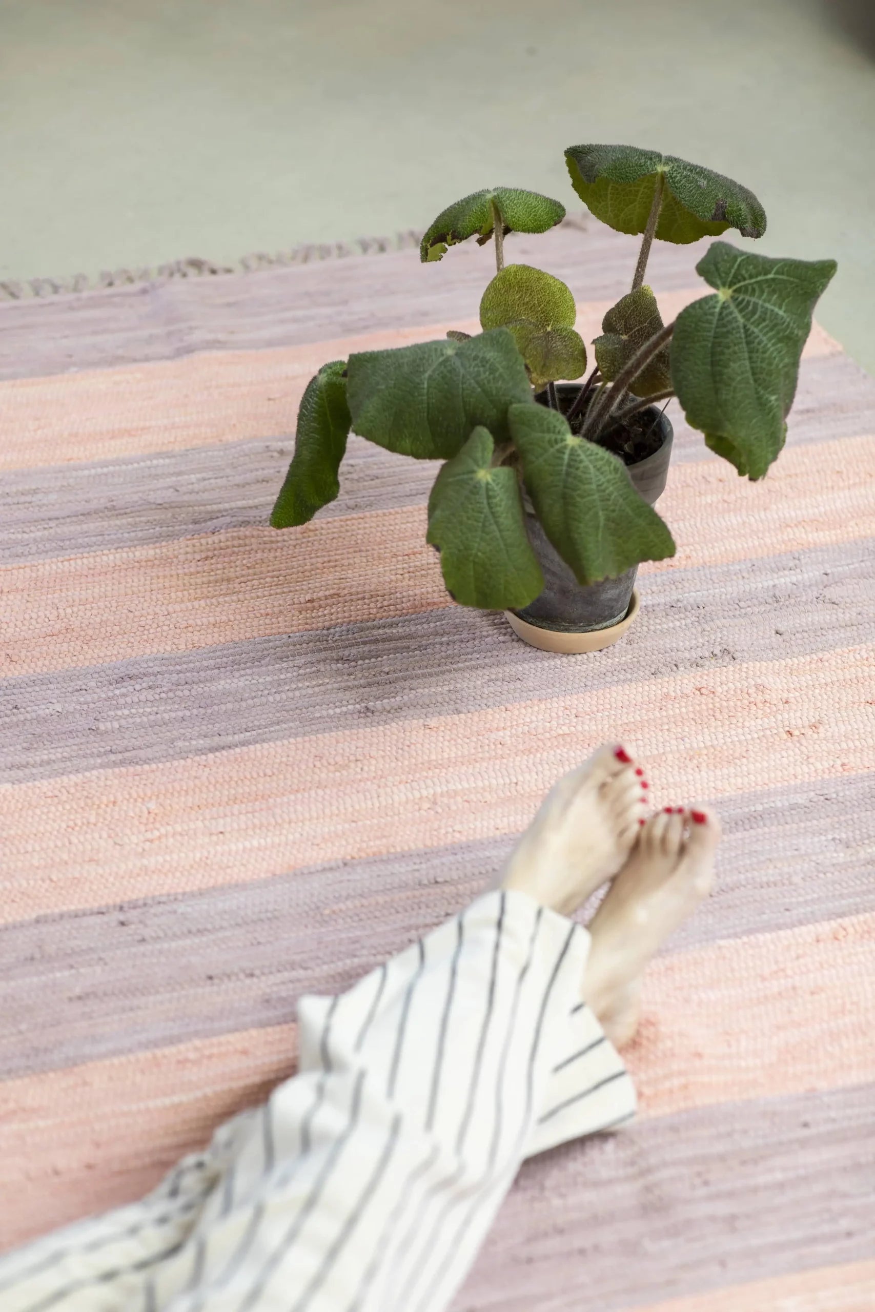 A potted plant with large green leaves sits on the Bongusta Chindi Rug (45x60), handcrafted in India from surplus cotton fabric. At the bottom, a person with painted toenails and striped pants rests their feet near the plant.