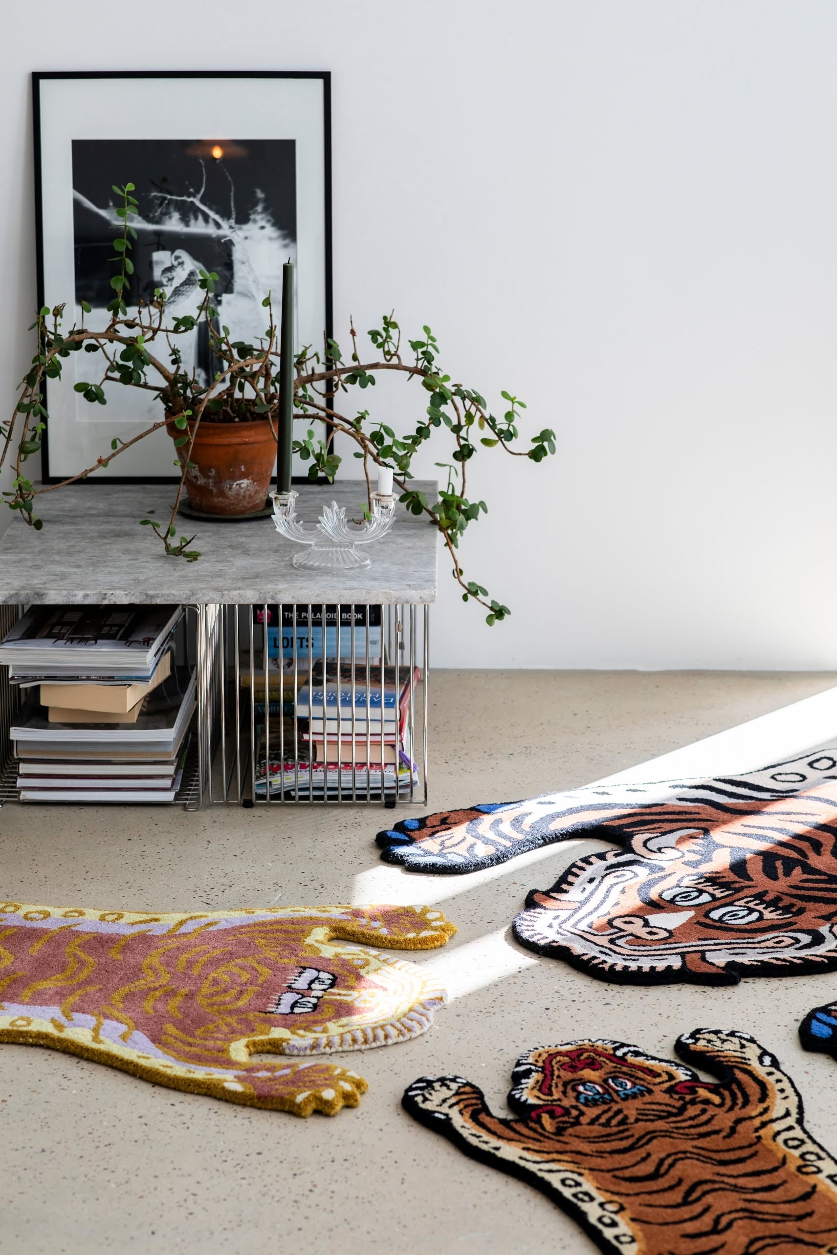 A modern living space with a low concrete table, potted plant, books, and a framed black-and-white photo sits beside the Bongusta Tigress Rug, Small by Bongusta, featuring bold tiger motifs on the sunlit floor.