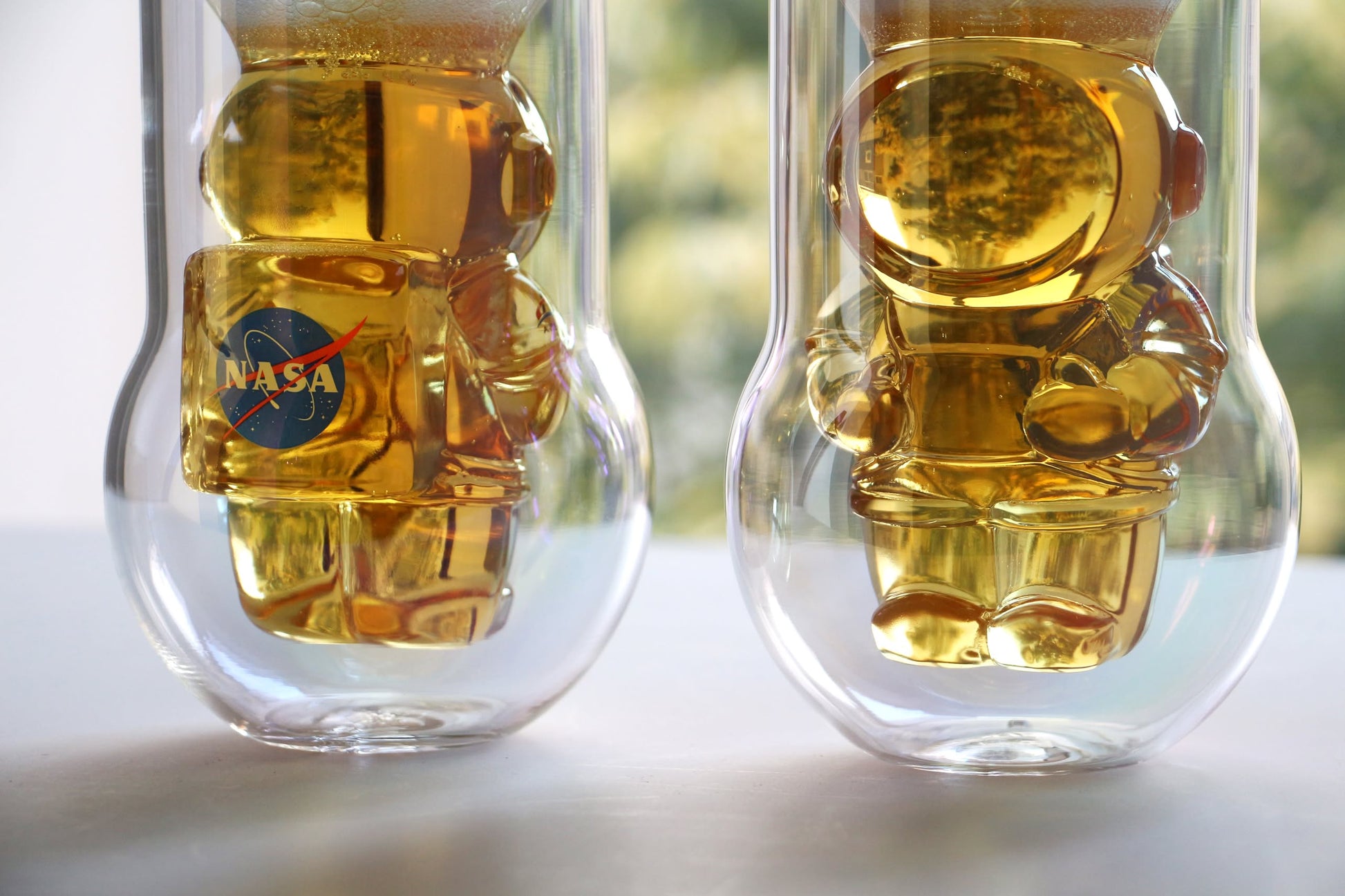 DETAIL NASA Astronaut Double-Walled Glasses Set of 2 Clear