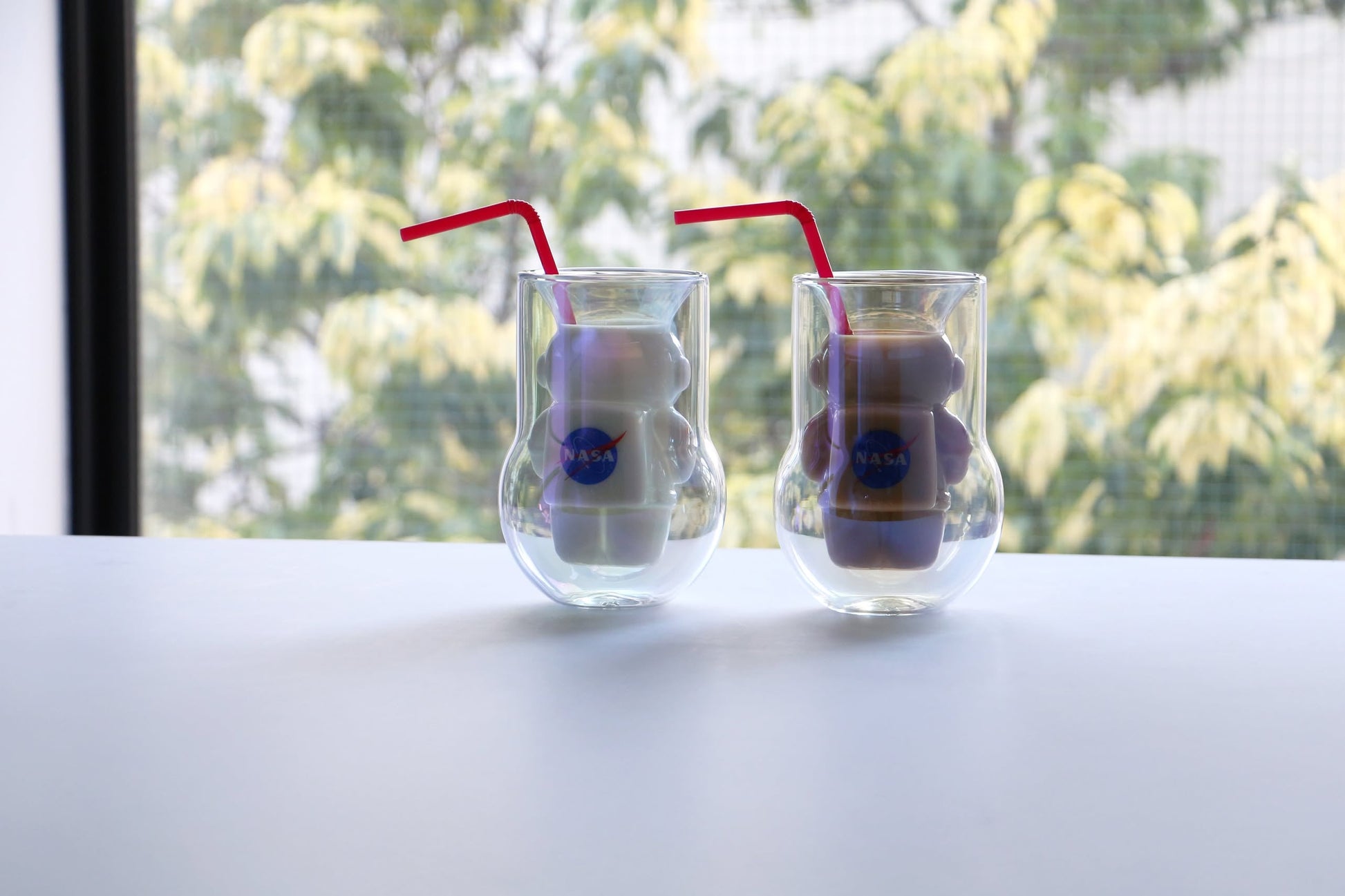 DETAIL NASA Astronaut Double-Walled Glasses Set of 2 Clear