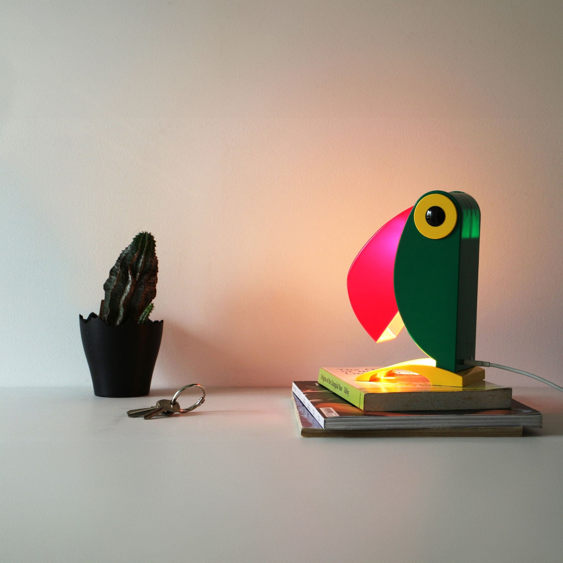 A small cactus in a black pot, keys, and books sit on a white surface beside the DETAIL Toucan Lamp by DETAIL, its iconic beak casting a warm glow and bringing vintage charm to the cozy scene.