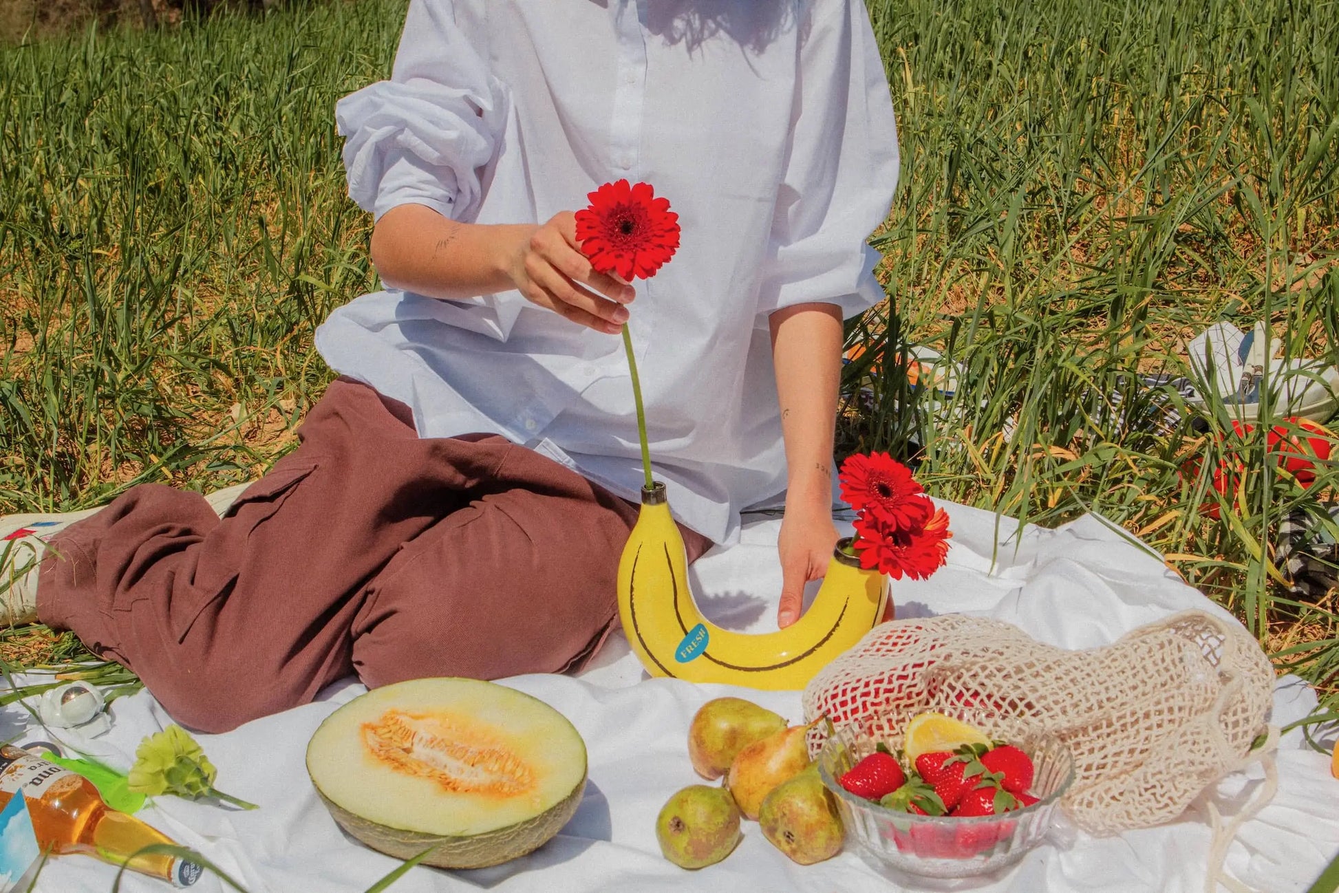 A person in a white shirt and brown pants sits on a picnic blanket outdoors, holding a red flower. On the blanket are a melon half, pears, strawberries in a bowl, a net bag, and the DOIY Banana Vase by DOIY decorated with red flowers.