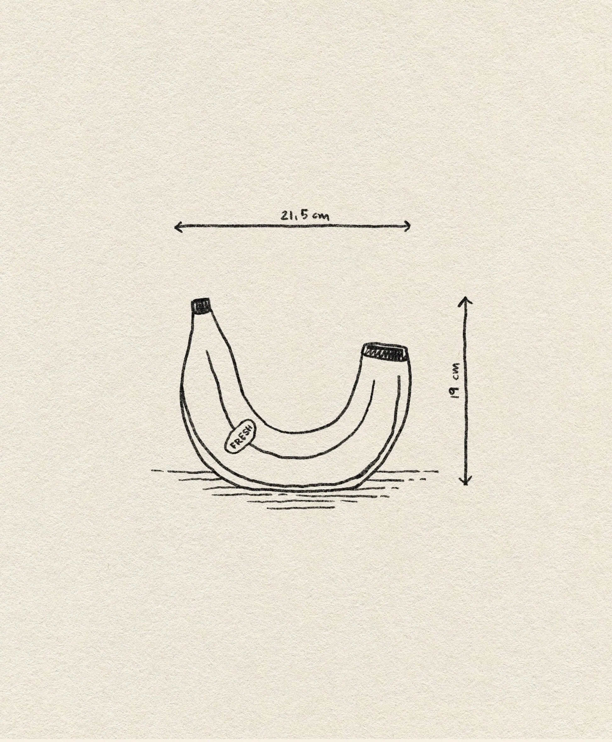 The DOIY Banana Vase by DOIY, with a playful banana arch design (21.5 cm wide, 19 cm high), adds charm and character to your home decor against a simple textured backdrop.