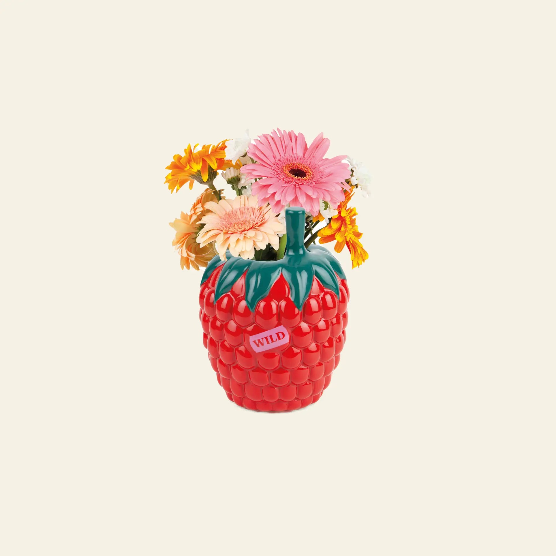 The DOIY Farmers Market Raspberry Vase by DOIY features a strawberry-inspired design with a green leafy top and “WILD” label. It adds vibrant charm to your decor, beautifully displaying colorful flowers like pink and yellow daisies.
