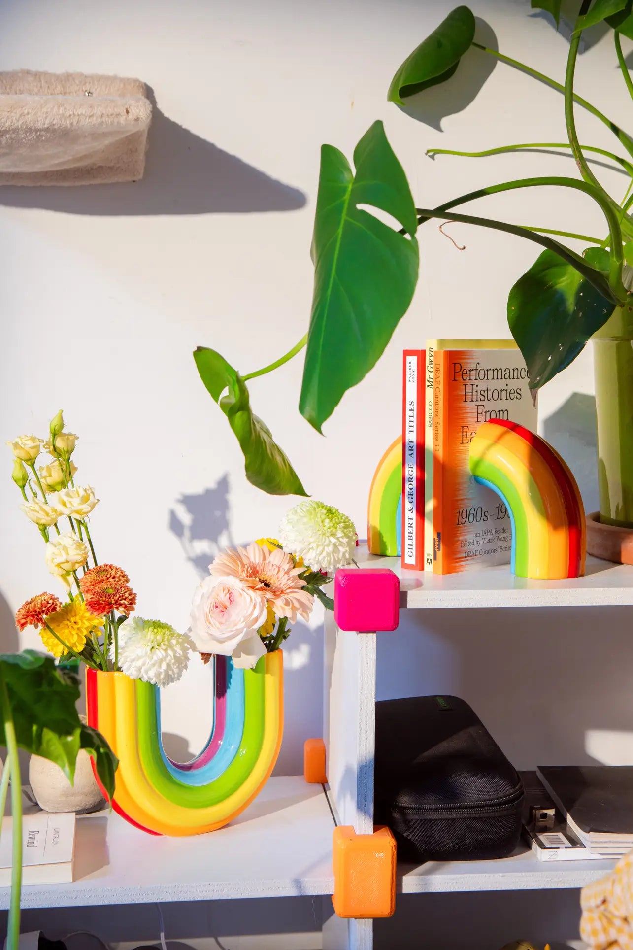 A bright room shelf features leafy green plants, a black case, a rainbow-shaped vase of flowers, and books neatly held by the DOIY Rainbow Bookend from DOIY, all beautifully illuminated by natural sunlight for perfect home decor.