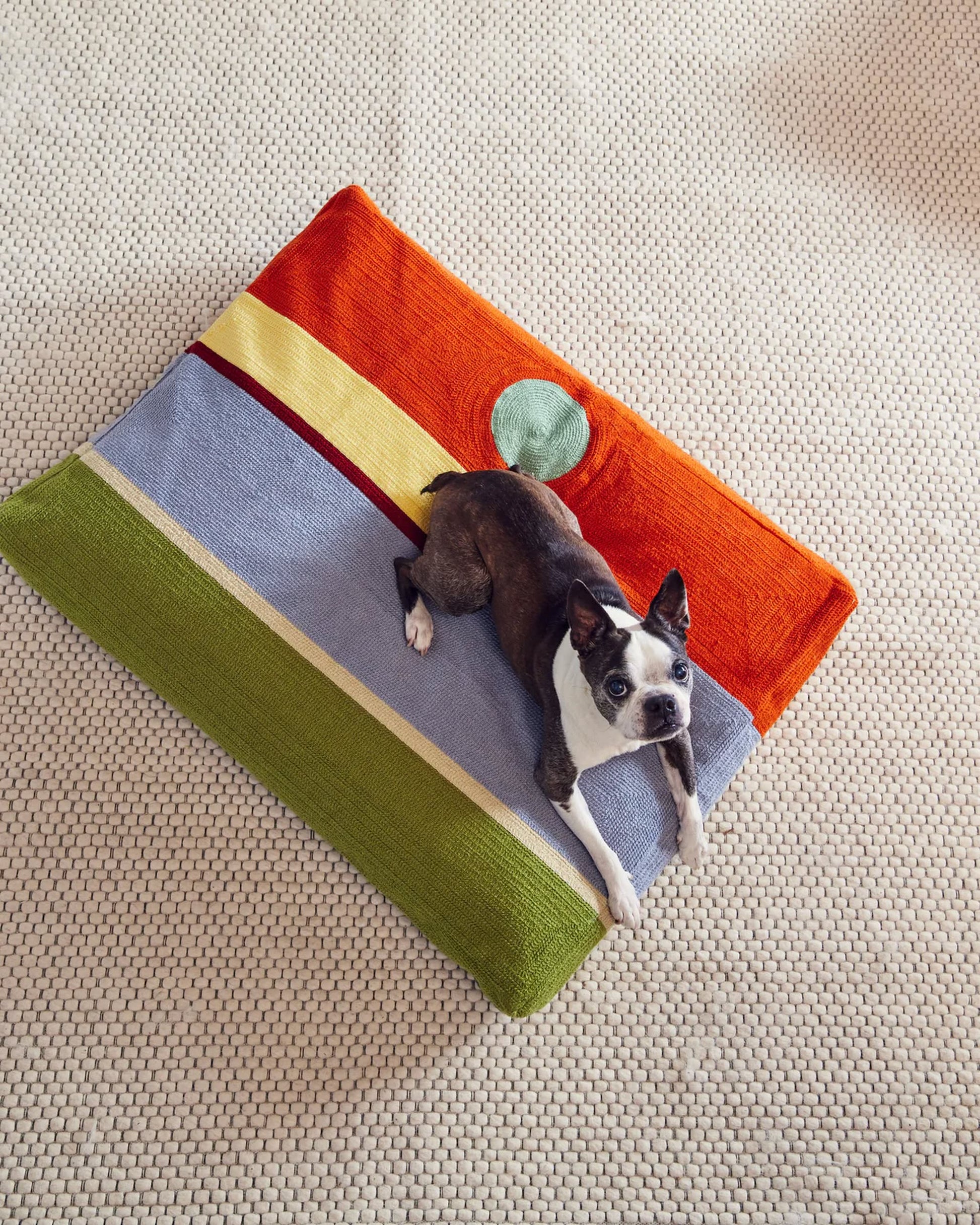 A black and white Boston Terrier relaxes on the Dusen Dusen Desert Dog Bed by Dusen Dusen, featuring vibrant geometric patterns and placed on a textured beige carpet for maximum pet comfort.