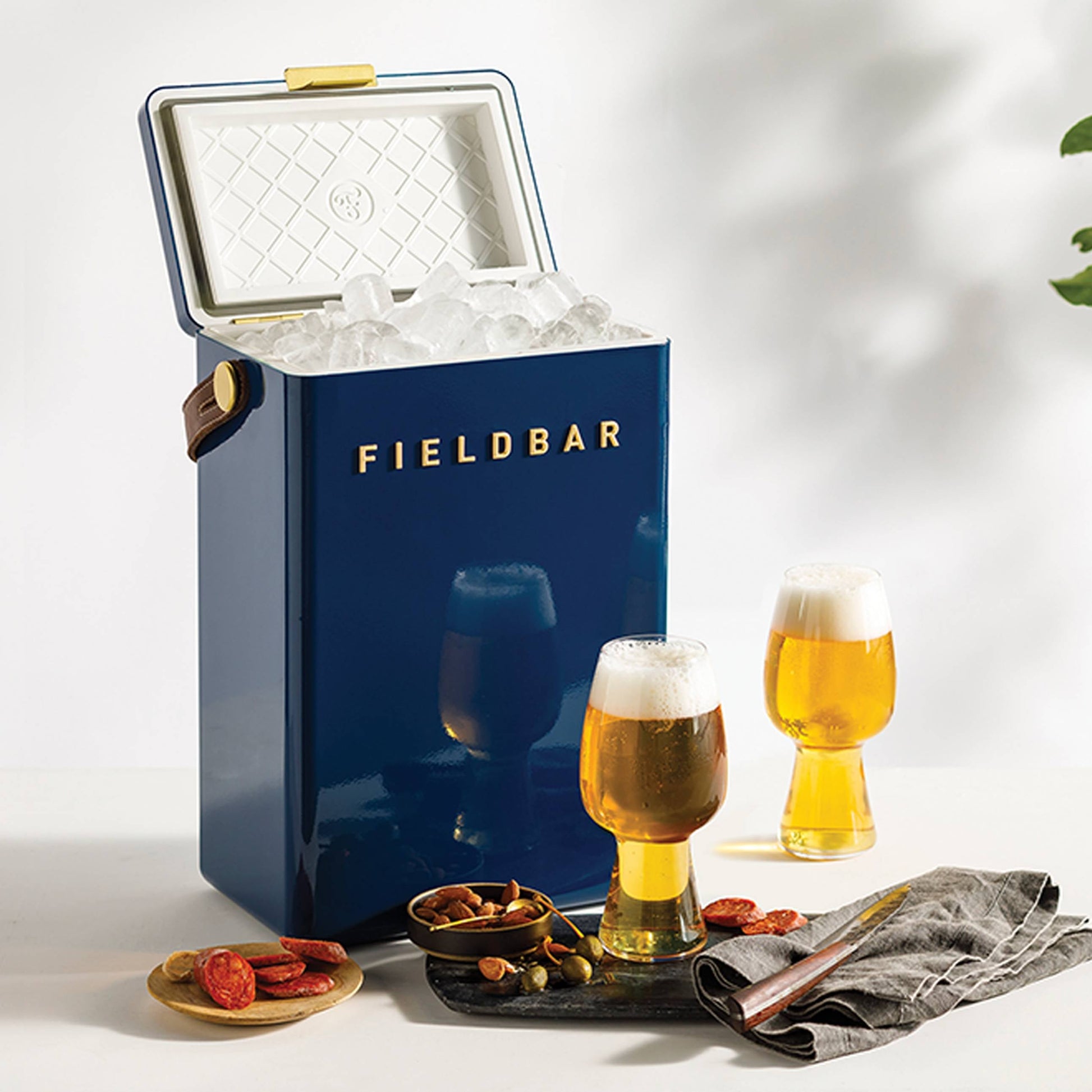 An open Fieldbar Drinks Box by Fieldbar in blue, known for excellent thermal performance, sits on a white surface filled with ice next to two glasses of beer, snacks, a bowl of nuts, a napkin, and a plant in the background.