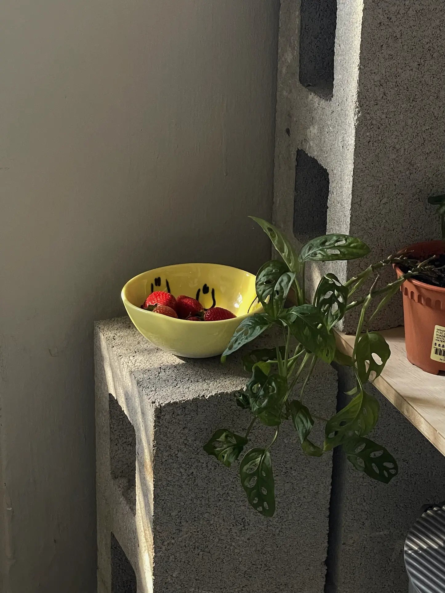 The Frizbee Ceramics BBOL S, a yellow bowl with black smiley faces by Frizbee Ceramics, holds strawberries atop a concrete block beside a potted plant with holey leaves and a shelf in gentle natural light.