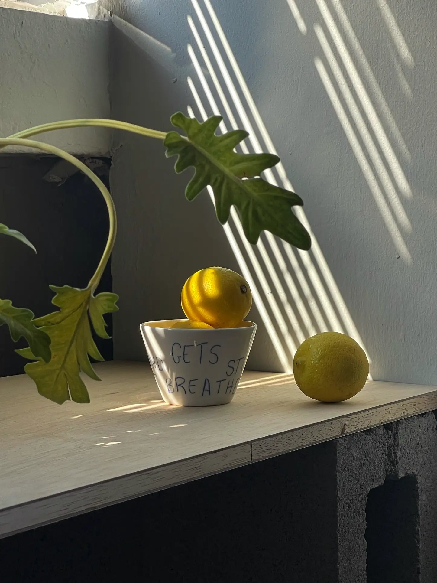 A lemon rests on the Frizbee Ceramics Super Cup L by Frizbee Ceramics, featuring handwritten text, “GETS ST BREATH,” beside another lemon on wood. Diagonal shadows and a leafy plant highlight the minimalist, artisanal style.