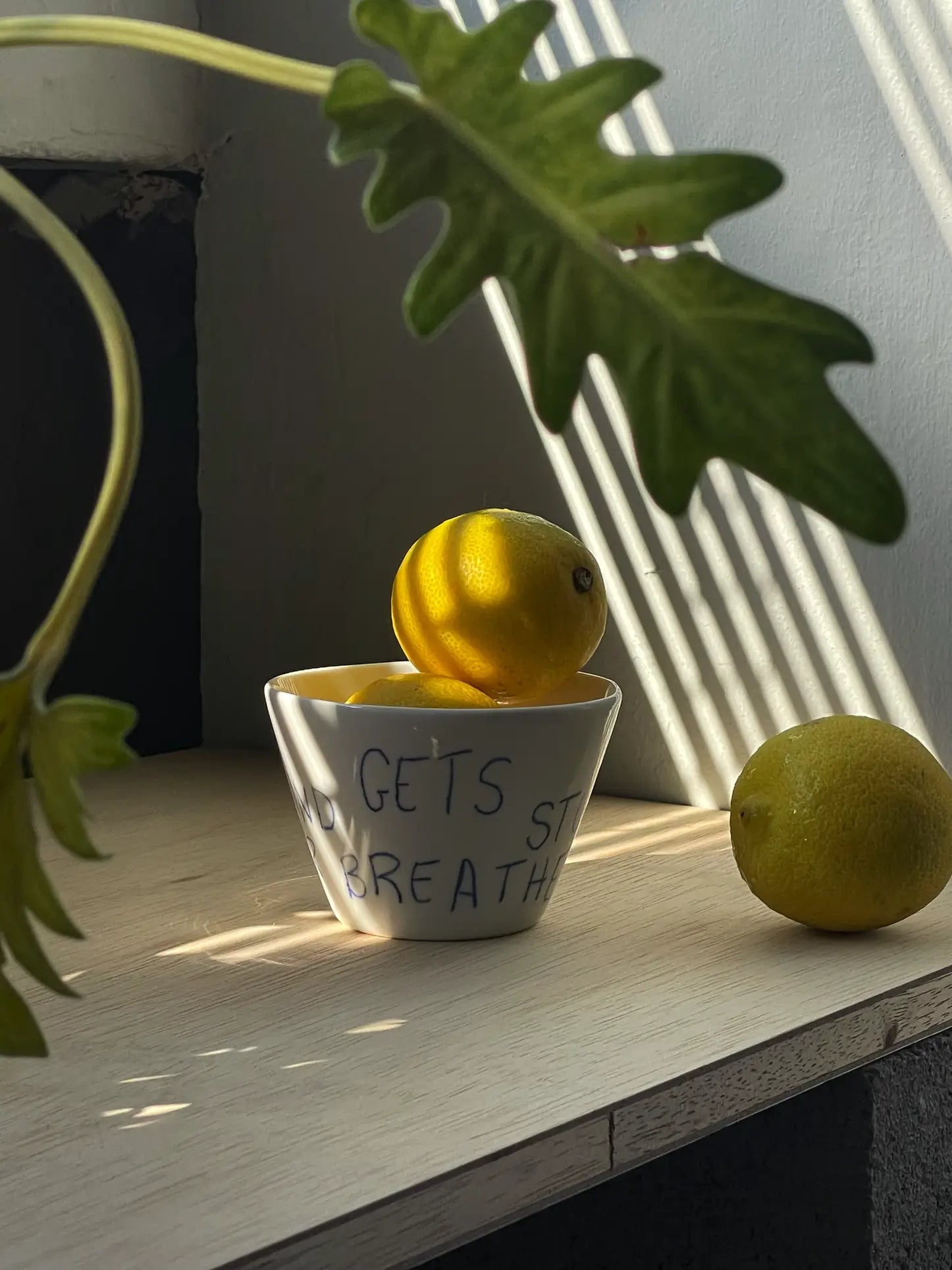 A lemon sits atop a Frizbee Ceramics Super Cup L, branded by Frizbee Ceramics, while another lemon rests nearby on a light wooden surface. Sunlight and plant shadows add artisanal charm to this perfect latte companion.