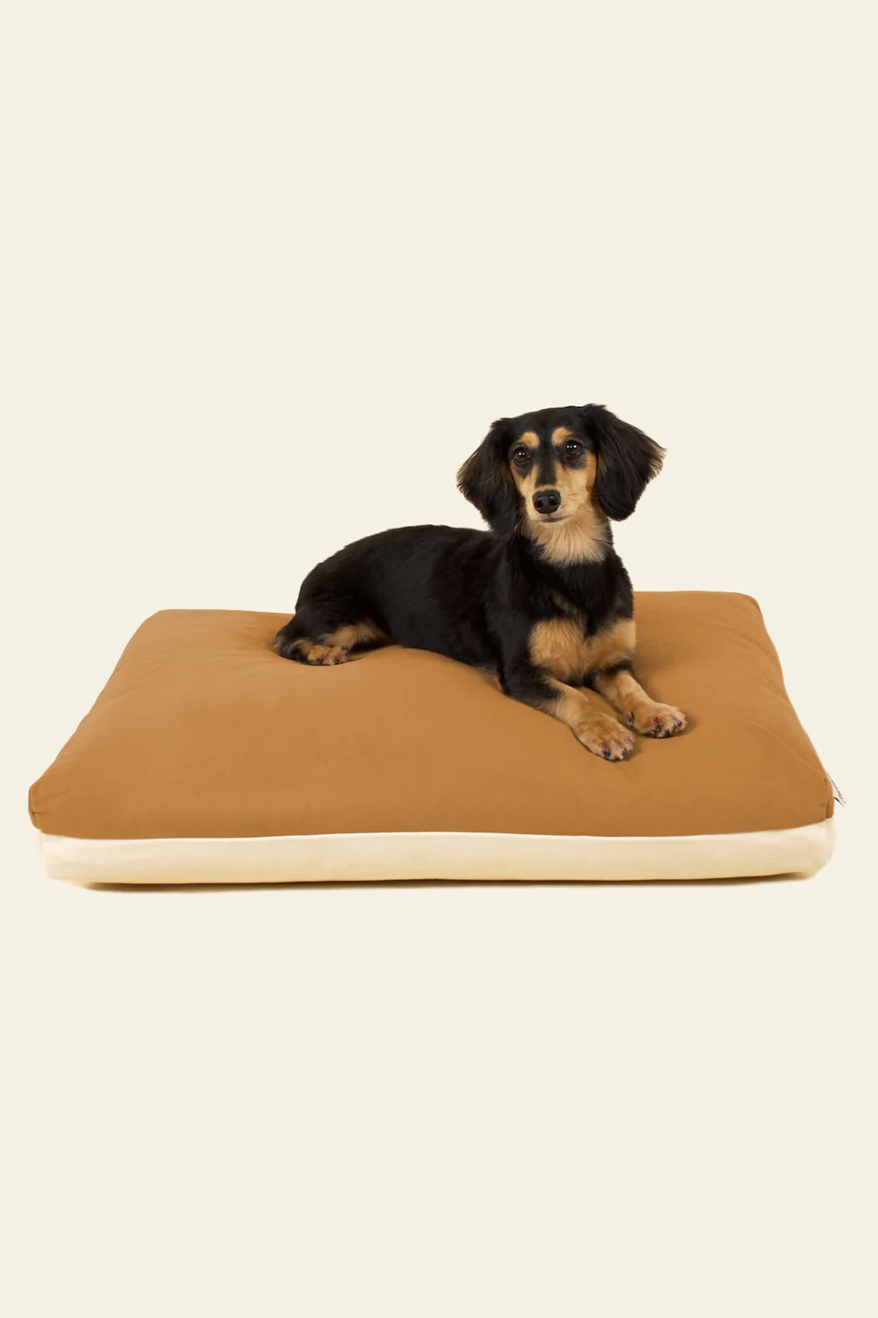 A small black and tan dog lies on a large, rectangular Good Chonk Cloud Kapok Dog Bed with eco-friendly kapok fill and a 100% cotton canvas cover by Good Chonk, set against a plain light background.