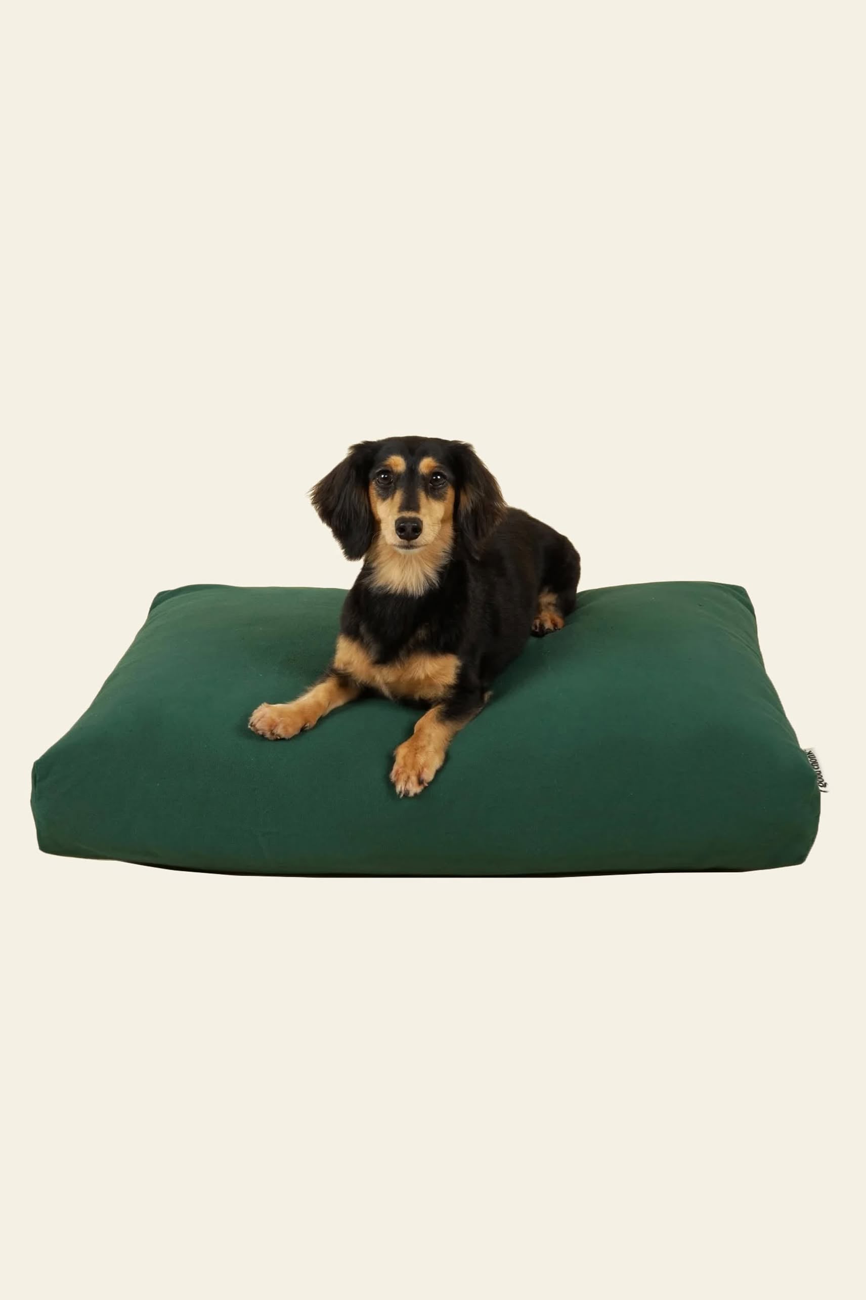A small black and brown dog lies on a large, green Good Chonk Cloud Kapok Dog Bed by Good Chonk with a 100% cotton canvas cover against a plain light background.