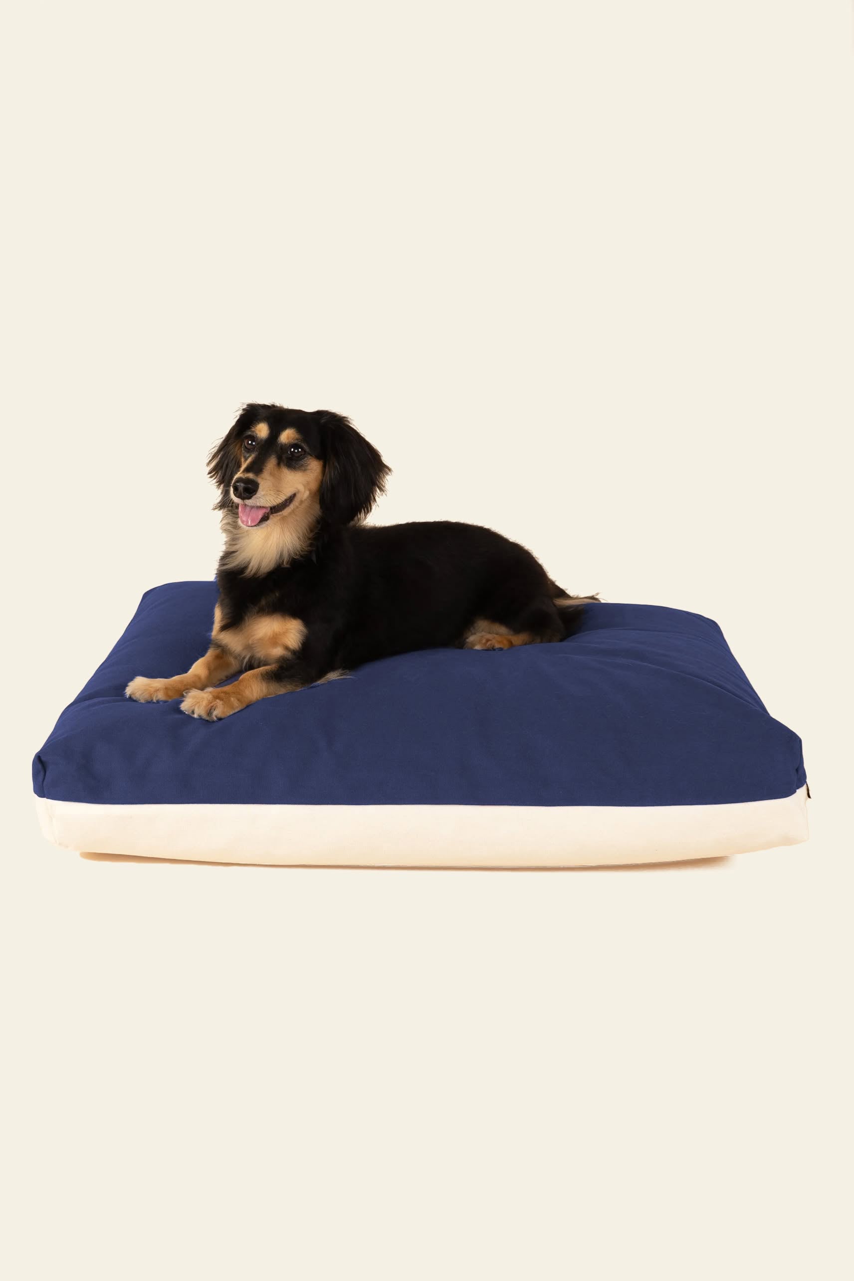 A small black and brown dog is lying on a large, rectangular Good Chonk Cloud Kapok Dog Bed by Good Chonk, featuring a 100% cotton canvas cover, against a plain light background.