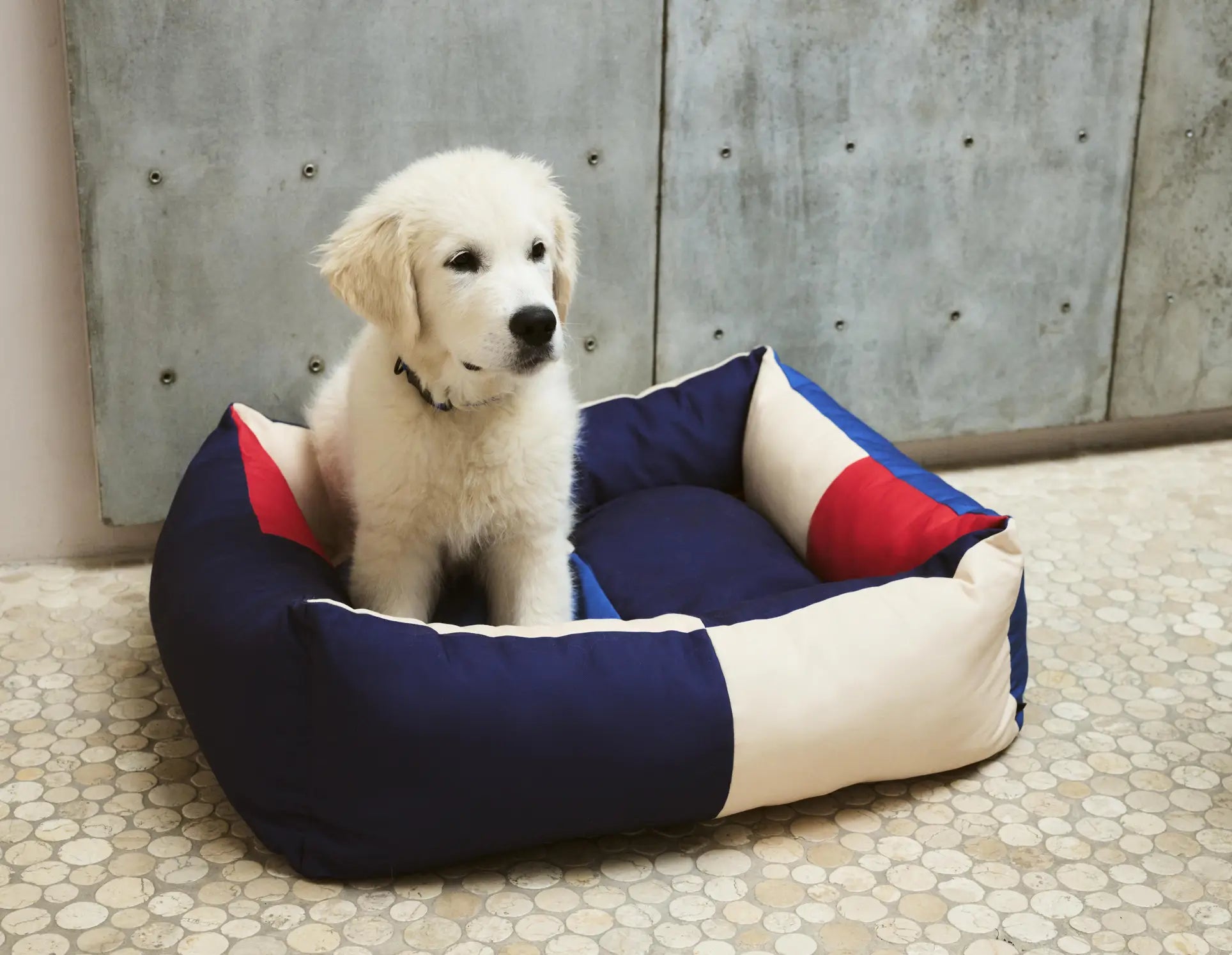 A fluffy white puppy sits on a blue, red, and cream HAY Dogs Bed M by HAY, placed on a tiled floor near a gray concrete wall.