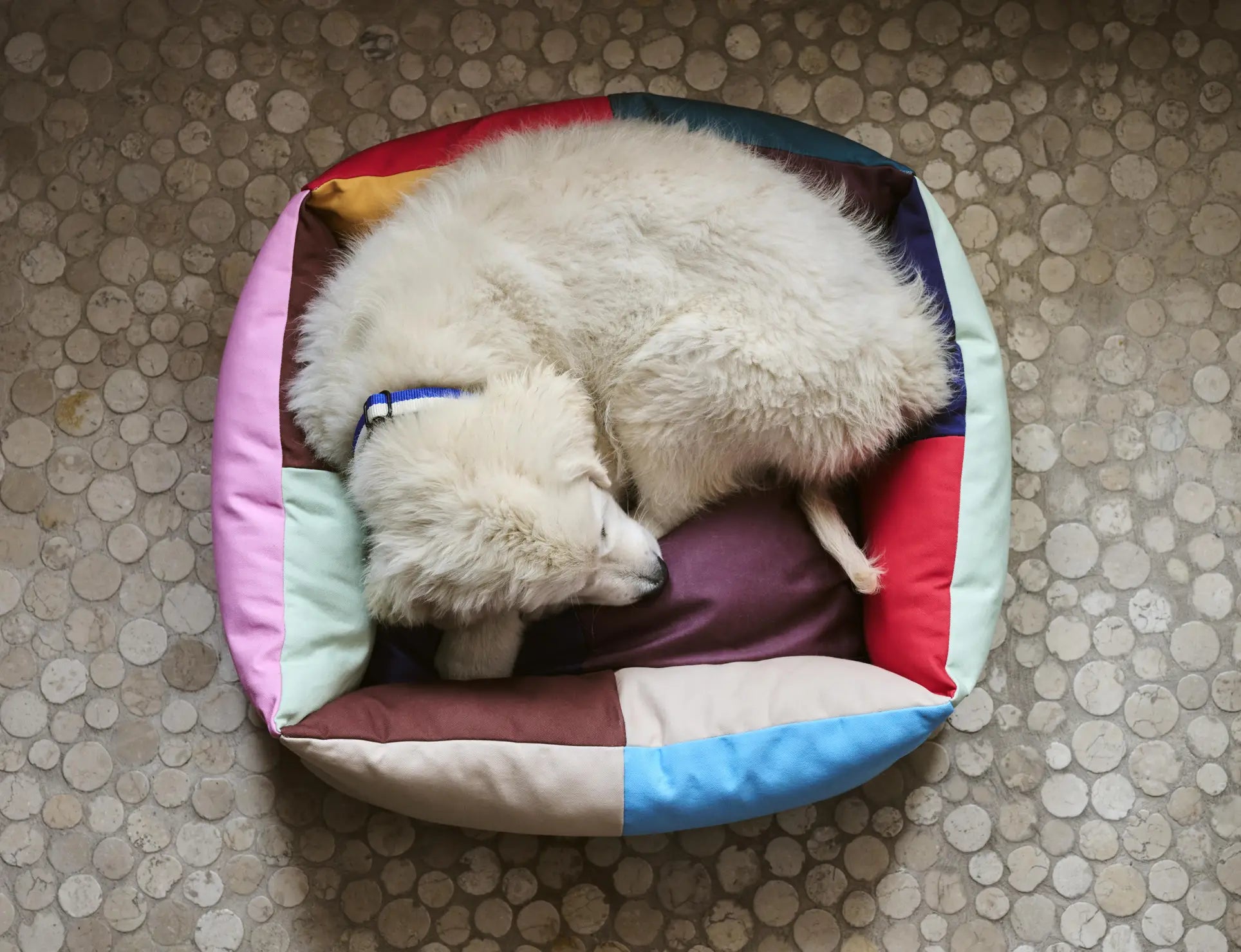 HAY Dogs Bed S Multi