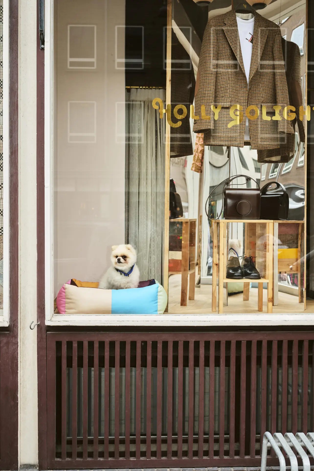 A small white dog sits in a HAY Dogs Bed S by HAY, made from recycled polyester, in a store window display with jackets, bags, and colourful accessories behind it.