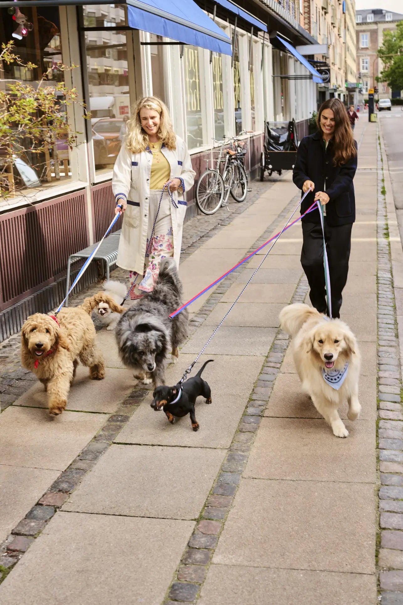 Two women walk six dogs of different breeds on HAY Dogs Leash Flat M/L by HAY, strolling past city shops, a bicycle, and trees—a stylish showcase for eco-friendly dog accessories.