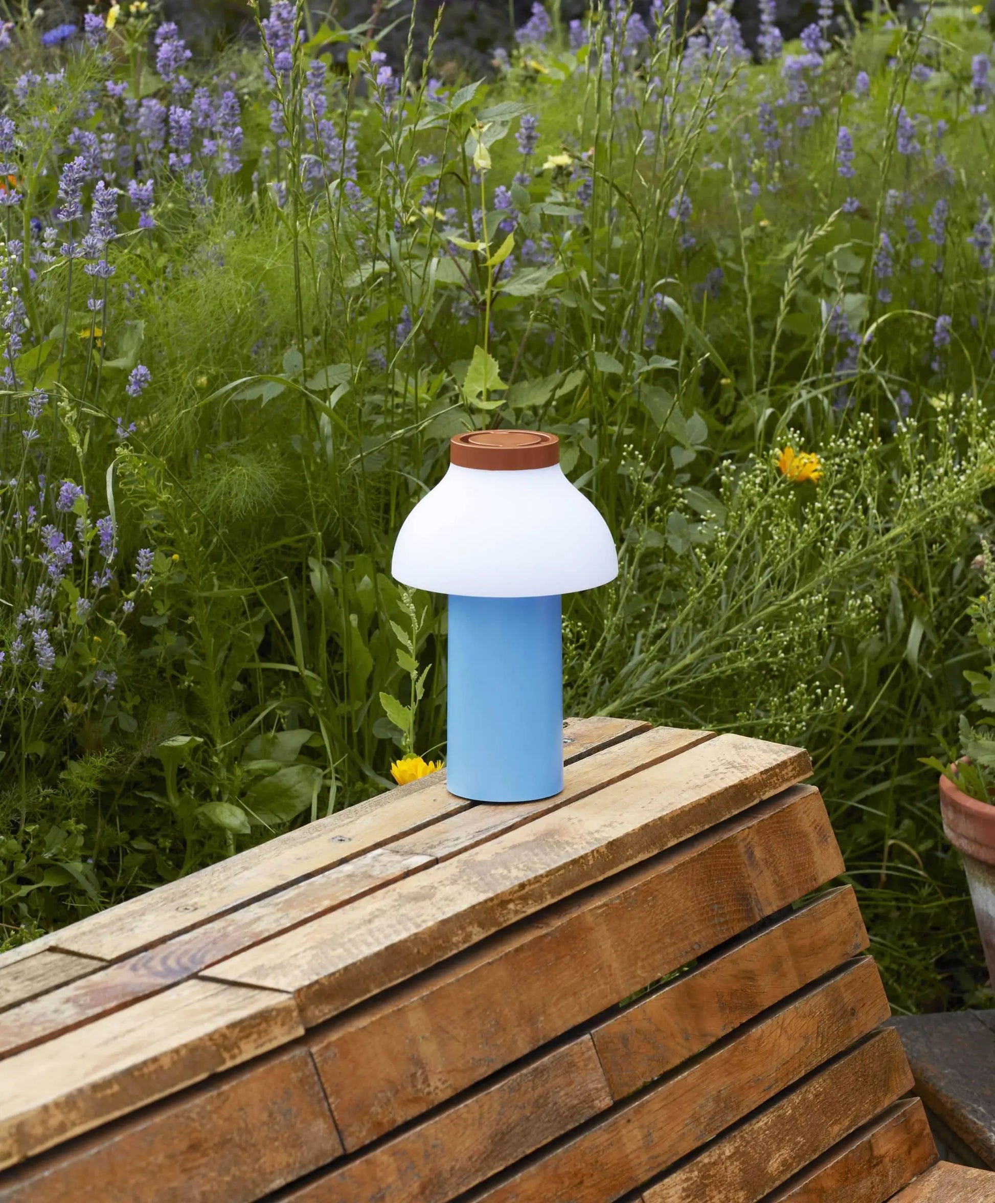 A blue and white HAY PC Portable Lamp by HAY with a brown top rests on a wooden bench outdoors amid green plants and purple wildflowers.
