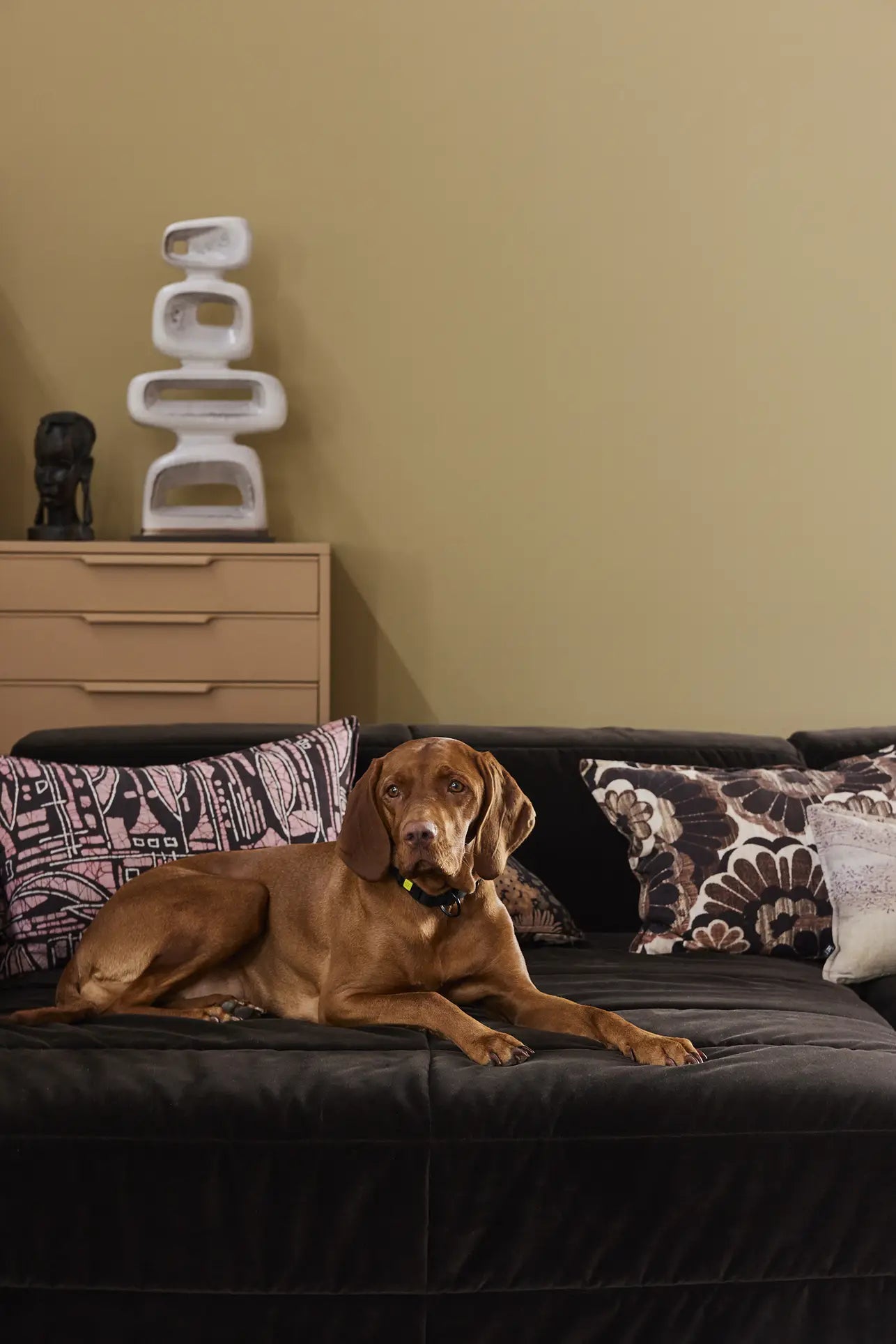A brown dog with a patterned collar relaxes on the HKliving Brut Sofa, Right Divan by HKliving in a cozy, modern room with beige drawers and white décor in the background.