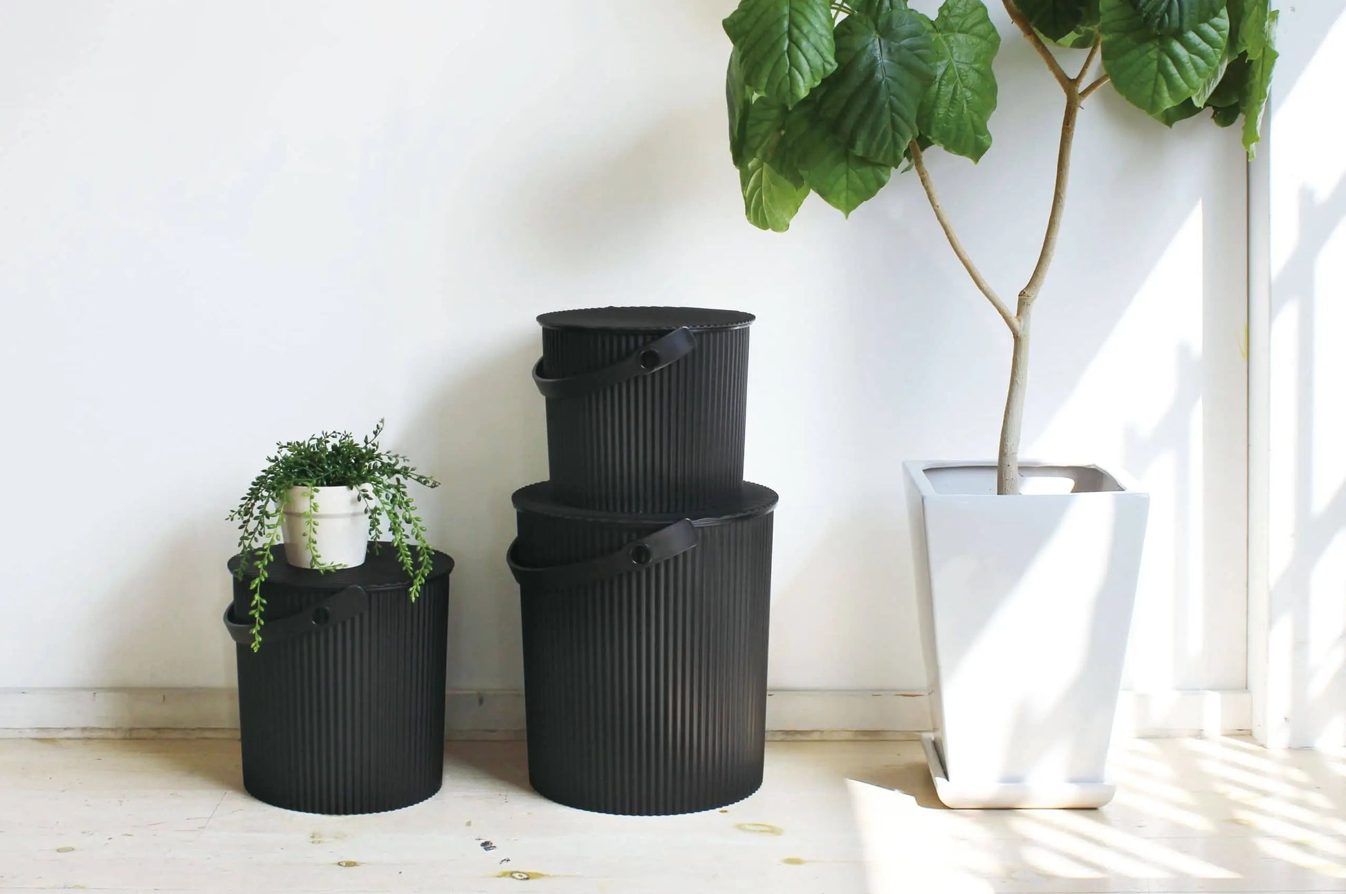 Three black Hachiman Omnioutil Storage Bucket S containers with handles are stacked beside a tall potted plant. One bucket holds a small trailing plant. Ideal for indoor or outdoor use, sunlight streams in from the right.