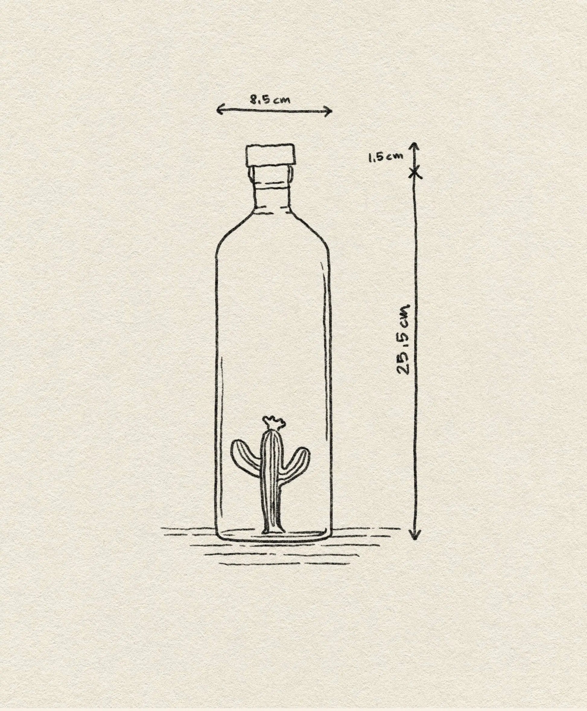 Ichendorf Milano Desert Plants Bottle Green Cactus