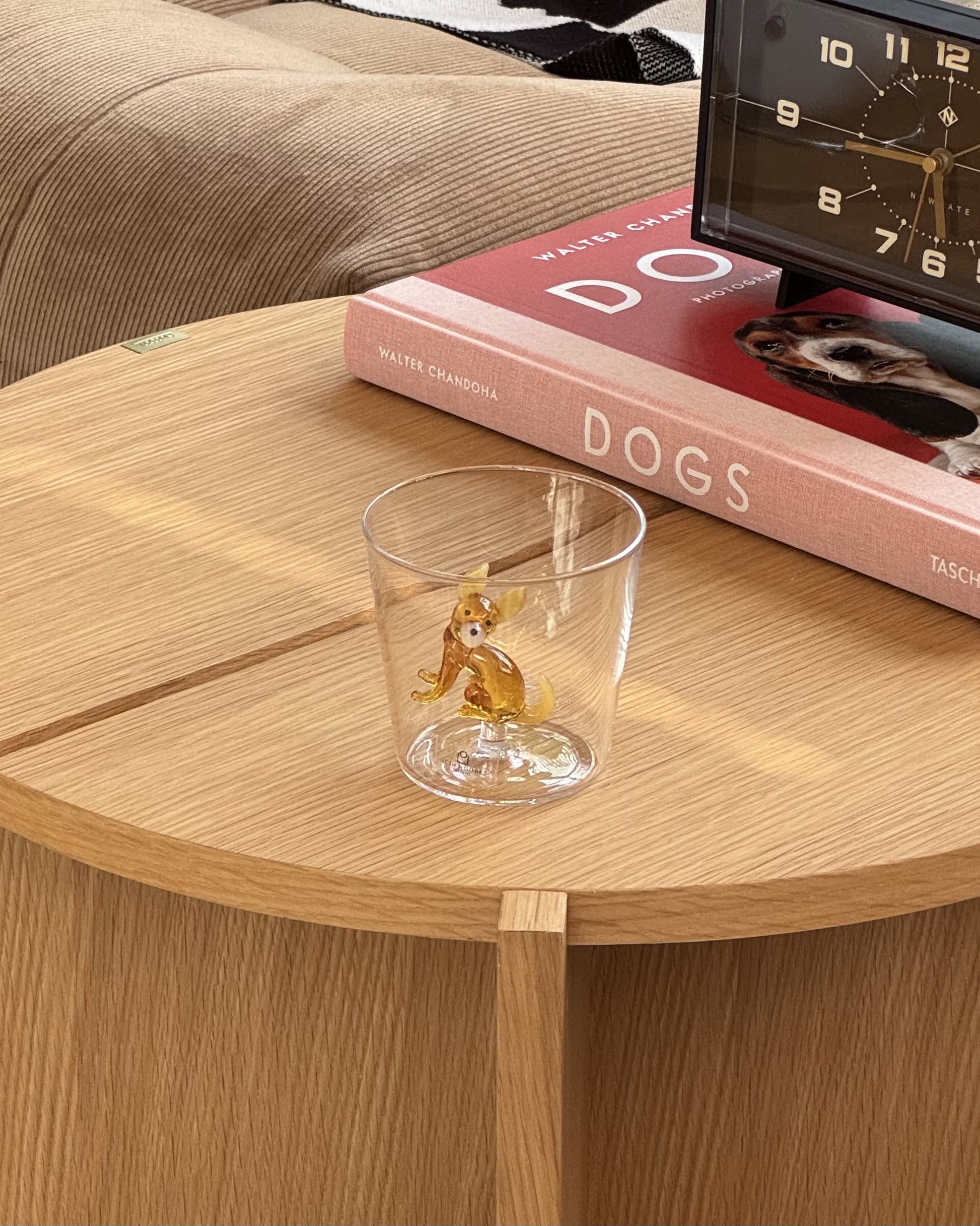 The Ichendorf Milano Dogs Tumbler - Chihuahua by Ichendorf Milano, featuring a tiny Chihuahua inside, sits on a wooden table beside a red book titled DOGS and a black clock.