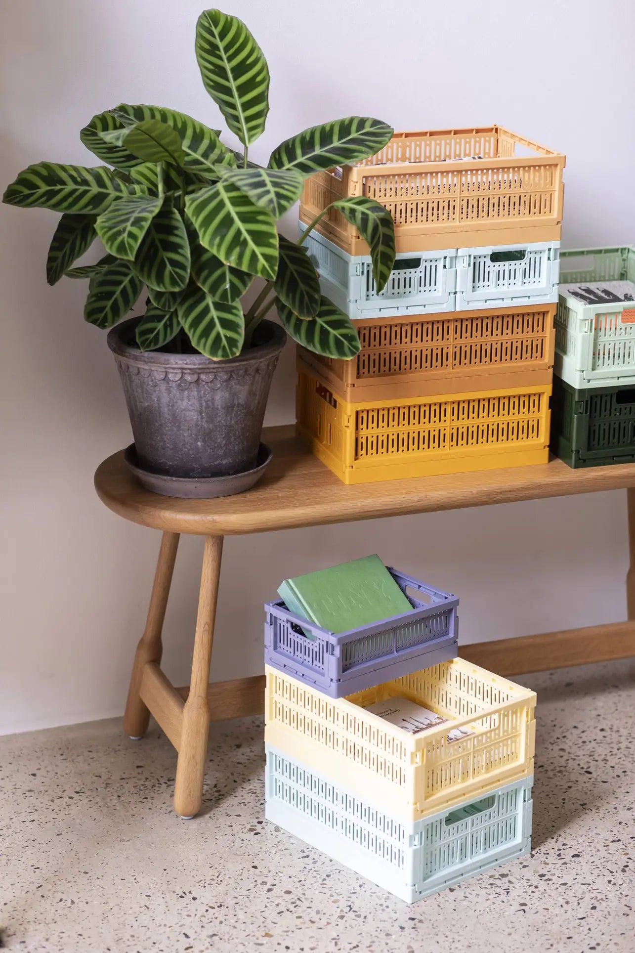 A potted plant with patterned green leaves sits on a wooden bench next to pastel Made Crate Midi folding crates by Made Crate; more recycled Made Crate Midi crates and a book are stacked on the floor nearby.