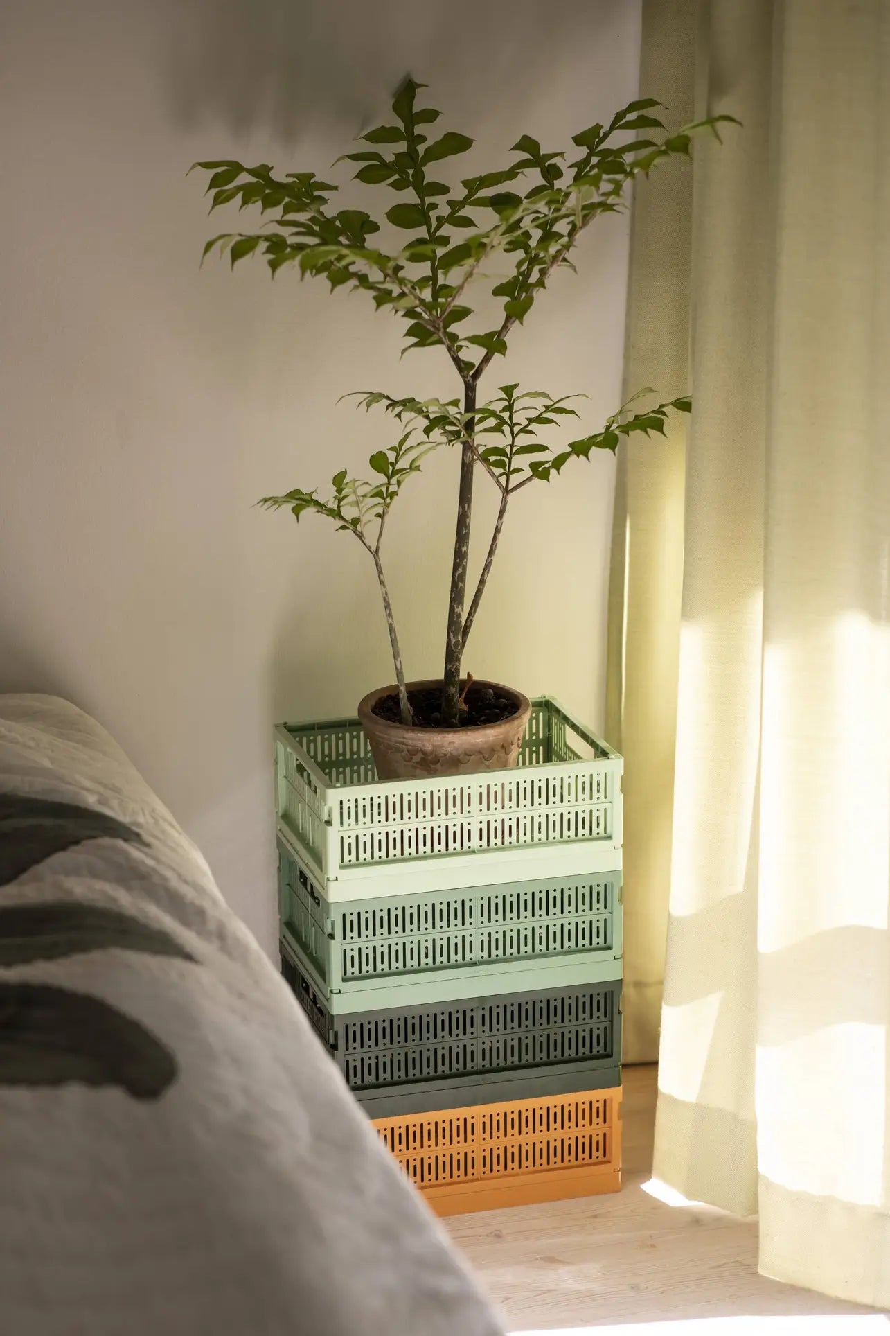 A potted plant rests on a stack of Made Crate Midi folding crates by Made Crate, placed beside a bed near a window with light curtains. Sunlight streams in, casting gentle shadows across the floor.