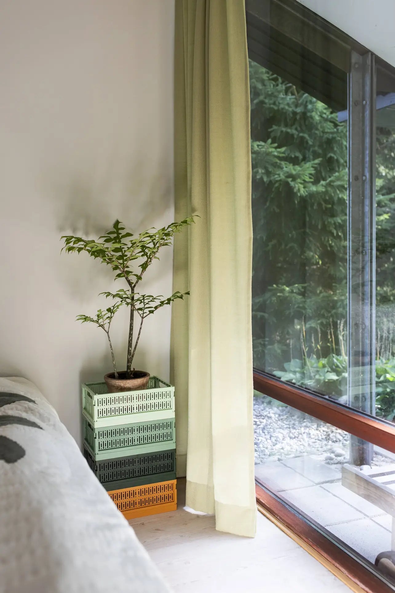 A small potted plant rests on Made Crate Midi eco-friendly folding crates from Made Crate, crafted from recycled plastic, by a floor-to-ceiling window with light green curtains overlooking a lush garden. Part of a couch appears on the left.