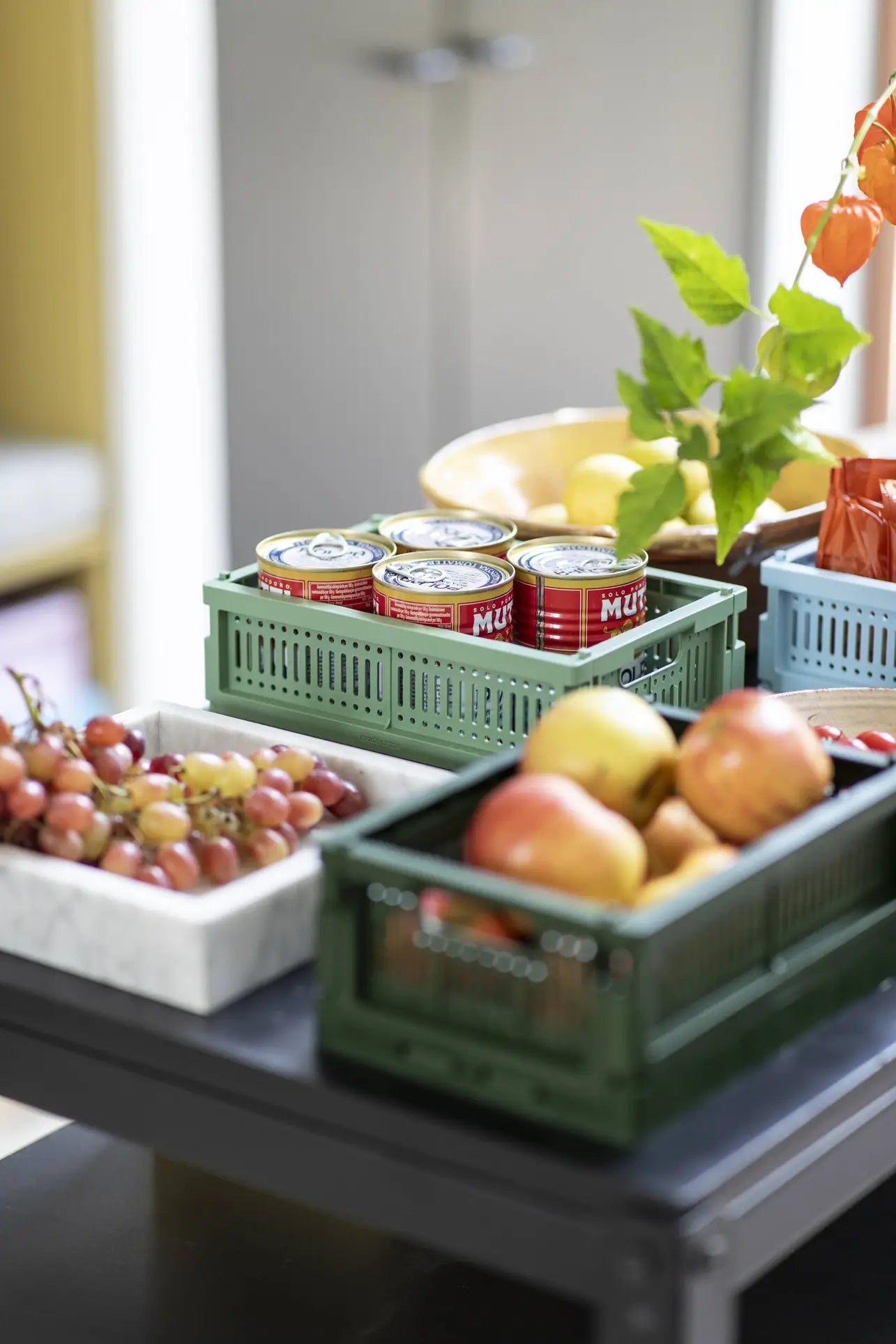 Made Crate Mini Green Bean Green