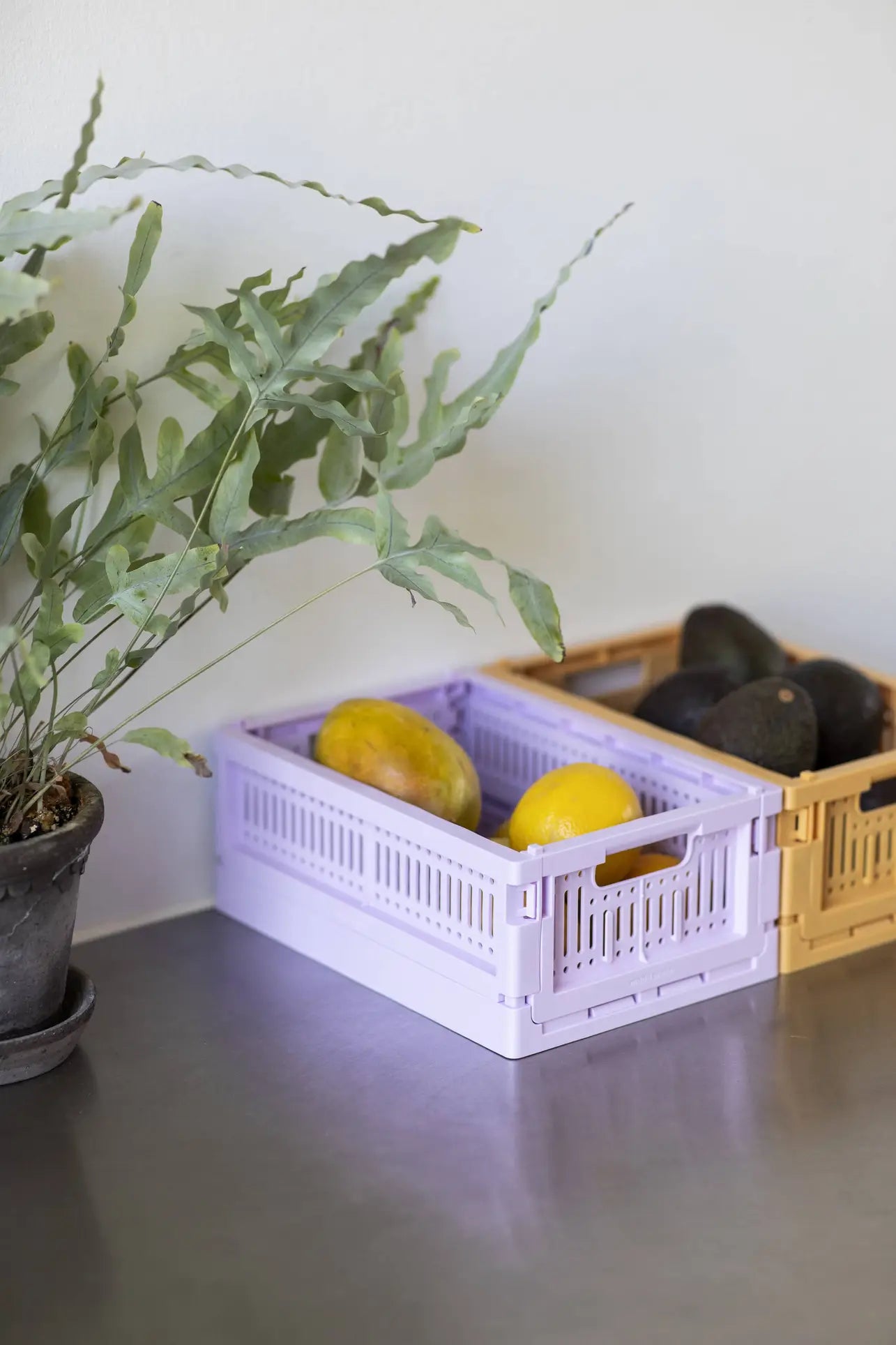 Made Crate Mini Lilac