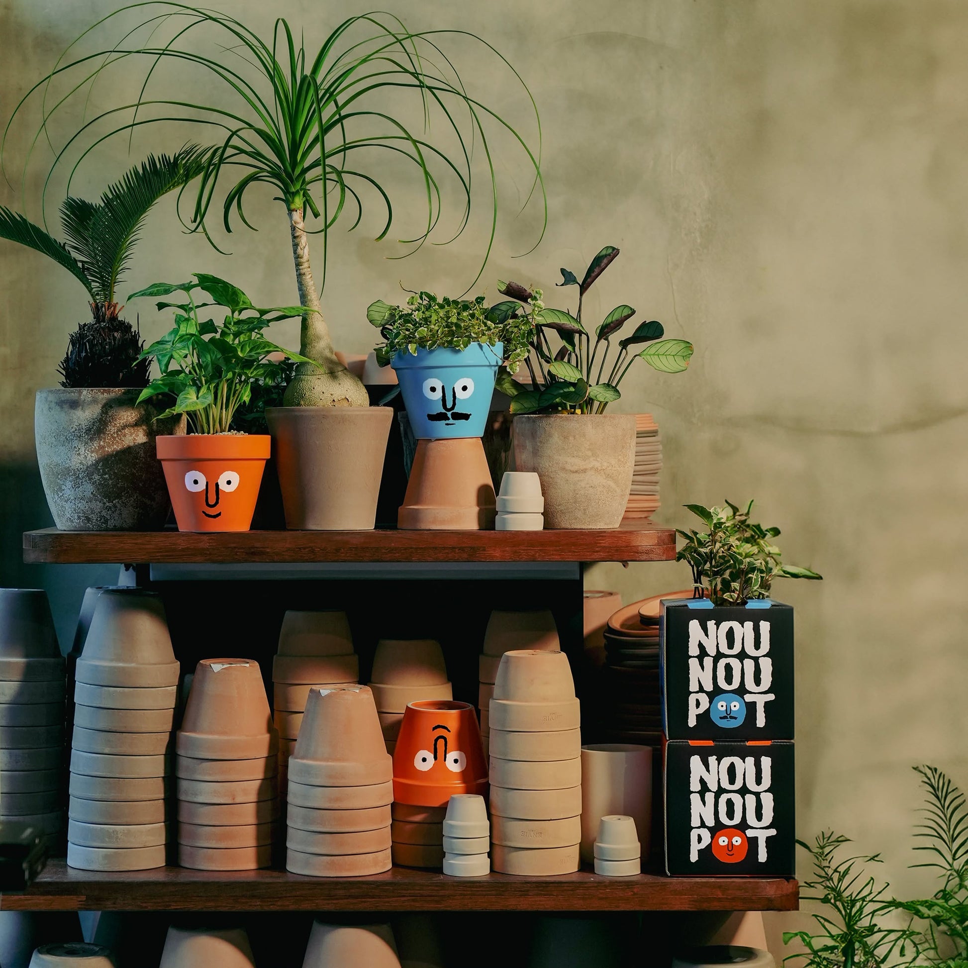 NouNou PotPot Blue