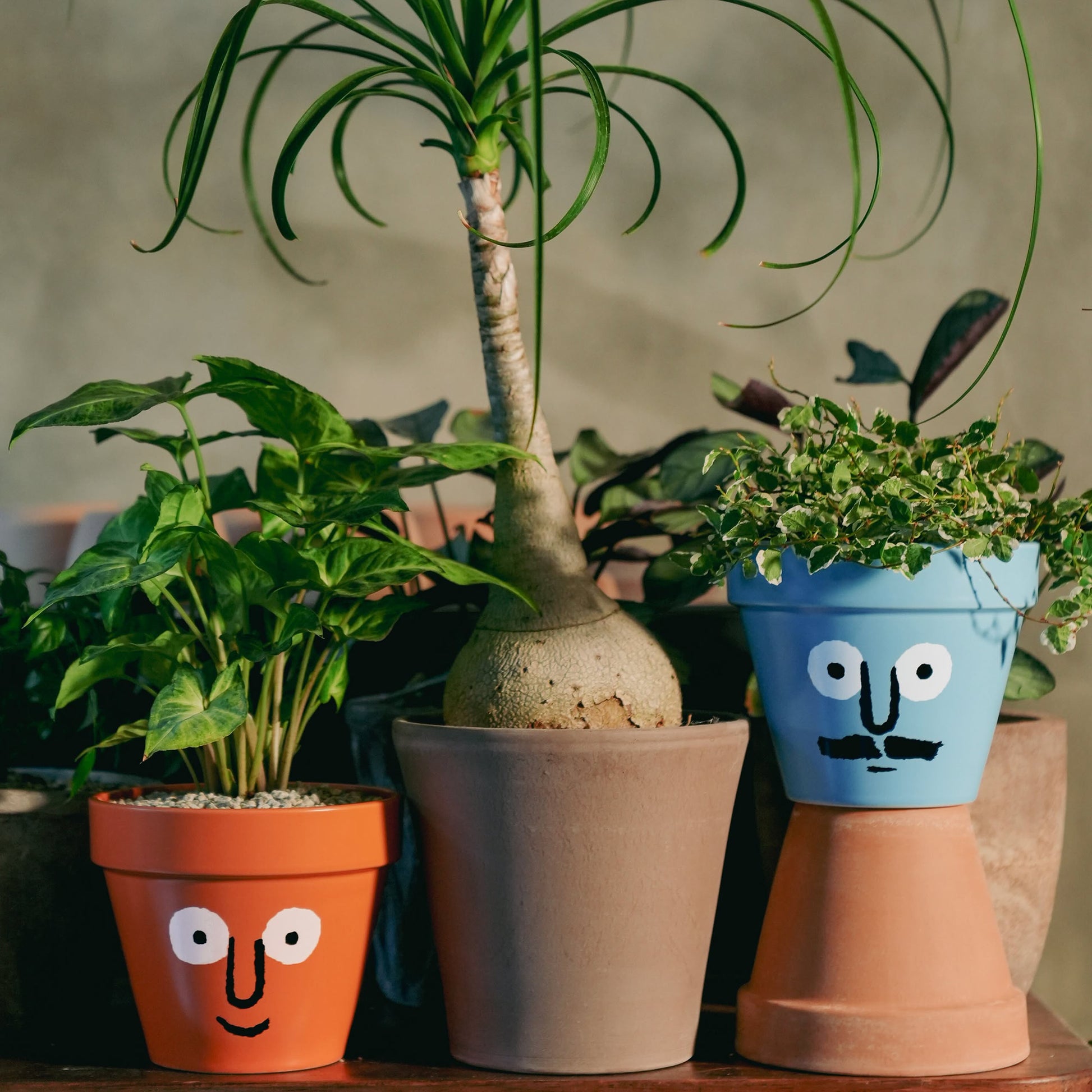 NouNou PotPot Orange