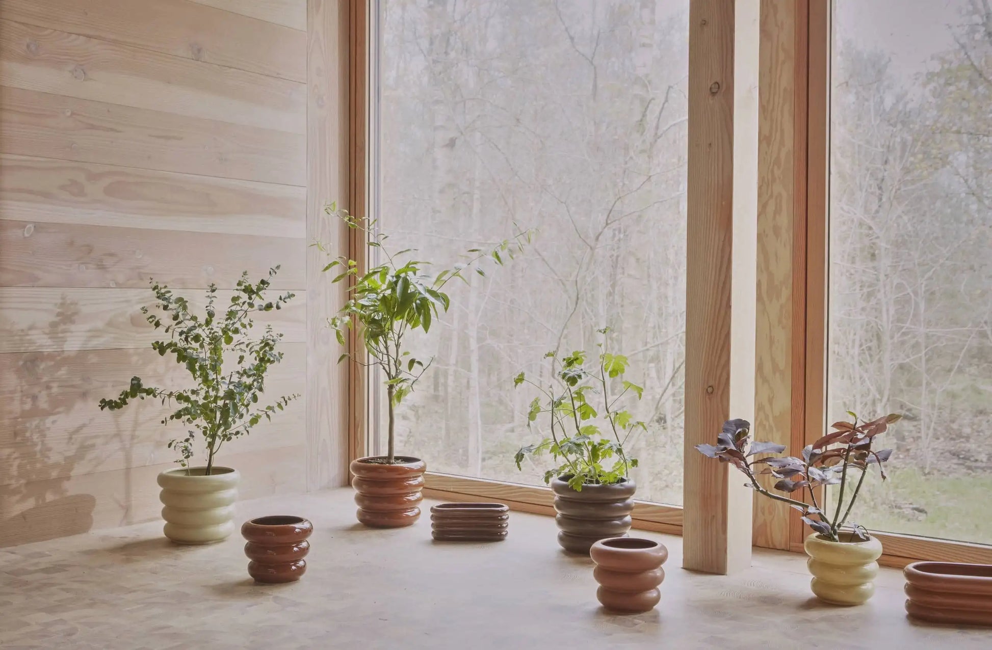 The OYOY Living Design Awa Pot, Large by OYOY Living Design brings natural light and botanical beauty to your cozy wood-floored space when placed near large windows.