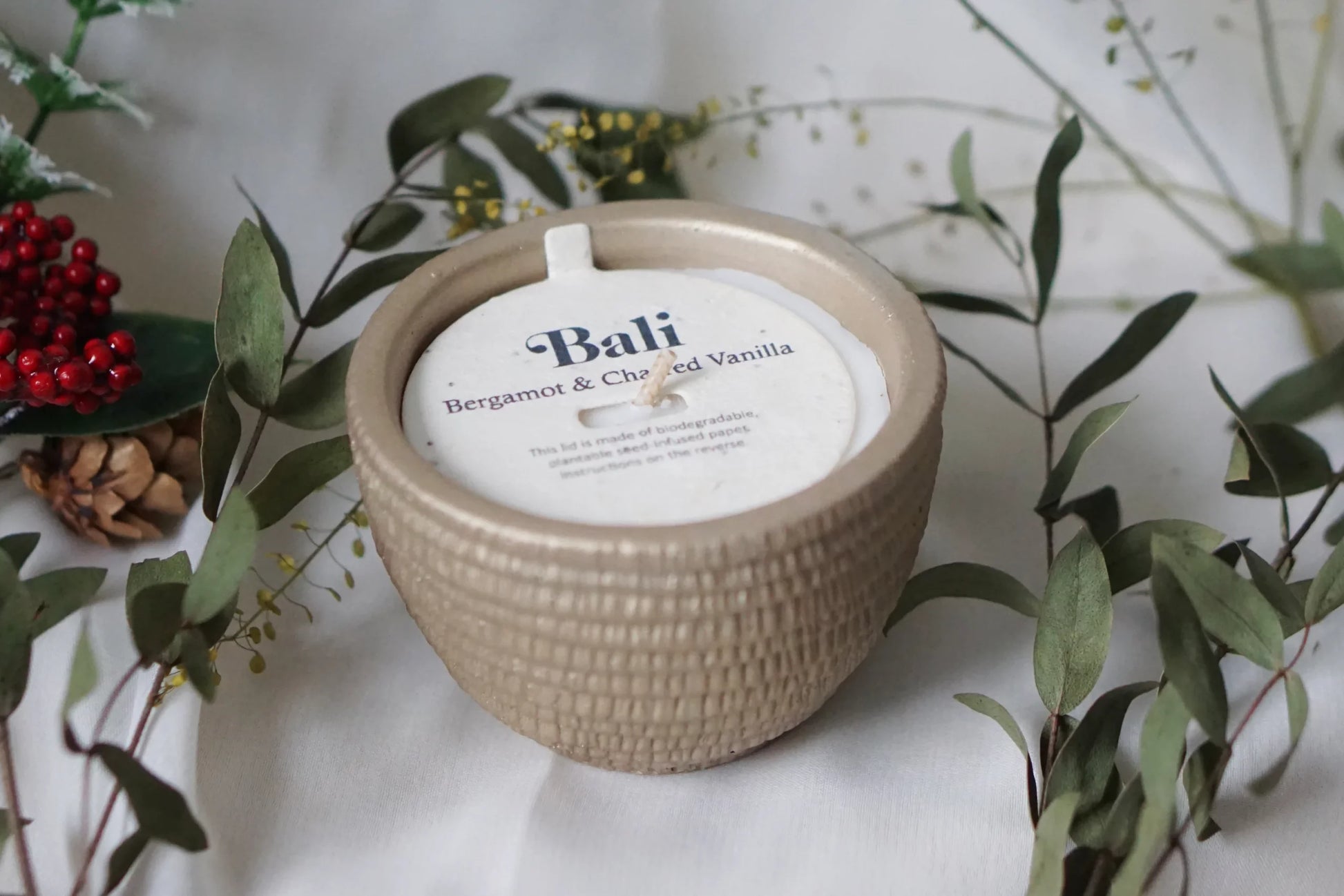The Pass It On Bali Candle by Pass It On, in beige with a textured finish, rests on a white surface amid green leaves, red berries, and a pine cone. Its infused with the Bali Bergamot & Charred Vanilla scent.