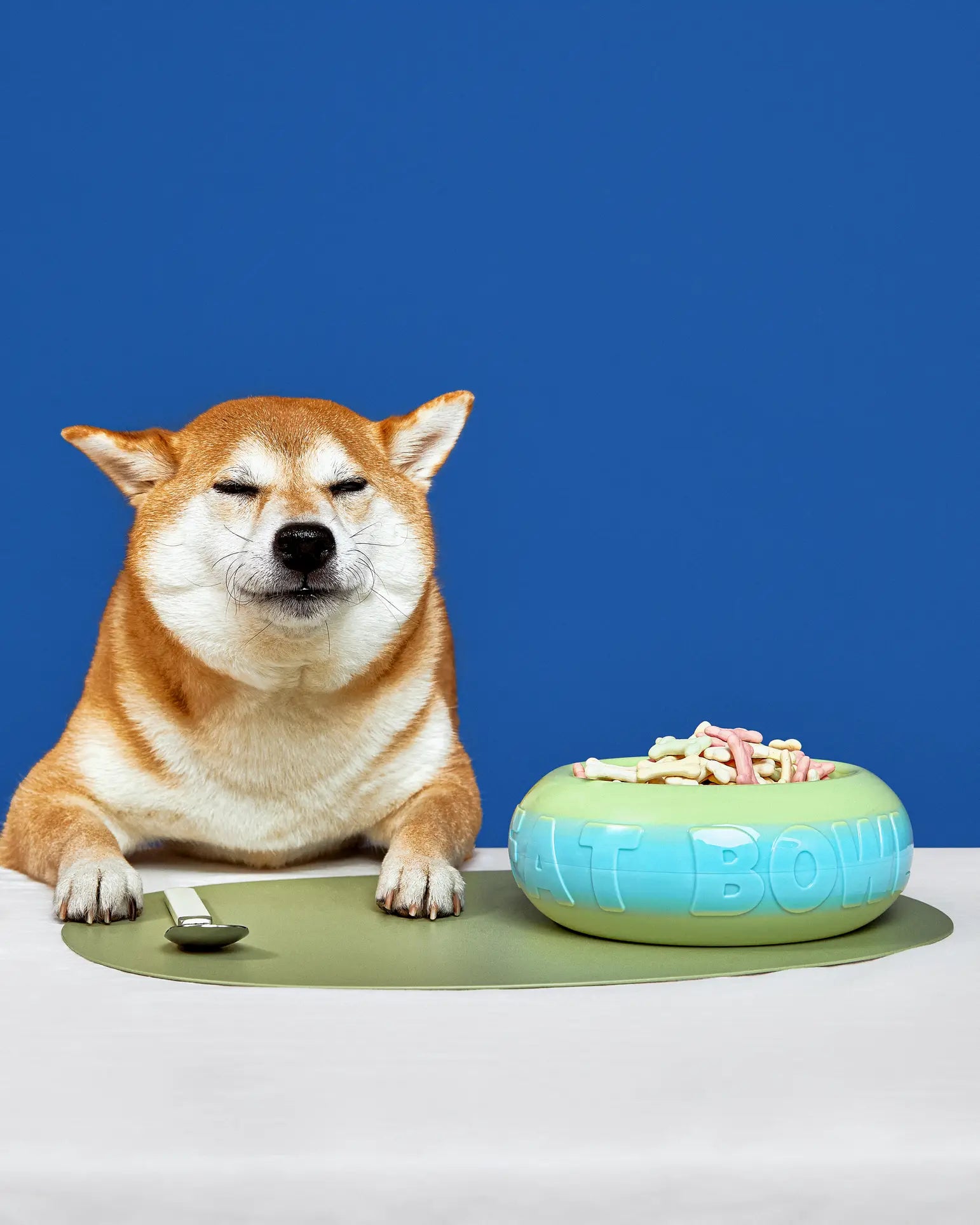 A Shiba Inu with sleepy eyes sits at a table next to the Plastic Ark Fat Bowl by Plastic Ark, made from recycled plastic, filled with treats and a spoon on a green placemat, all set against a solid blue background.