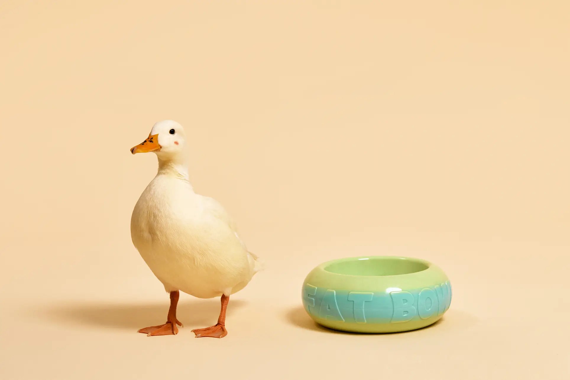 A white duck stands on a beige background beside a light green Plastic Ark Fat Bowl with EAT BOWL embossed in blue, crafted from recycled plastic by Plastic Ark.