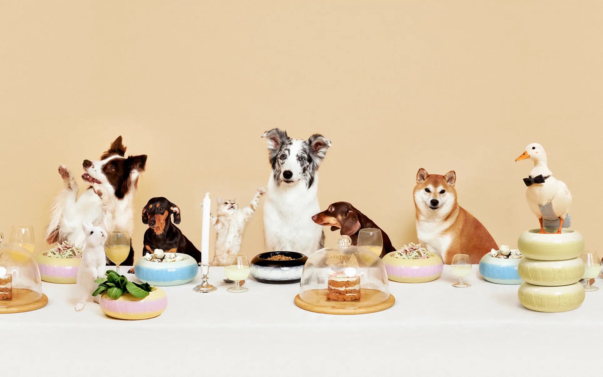 A group of dogs, a cat, a rabbit, a bird, and a duck in a bow tie sit at a table with cakes, drinks, and salads served in Plastic Ark Fat Bowl by Plastic Ark, resembling a formal dinner party against a beige background.