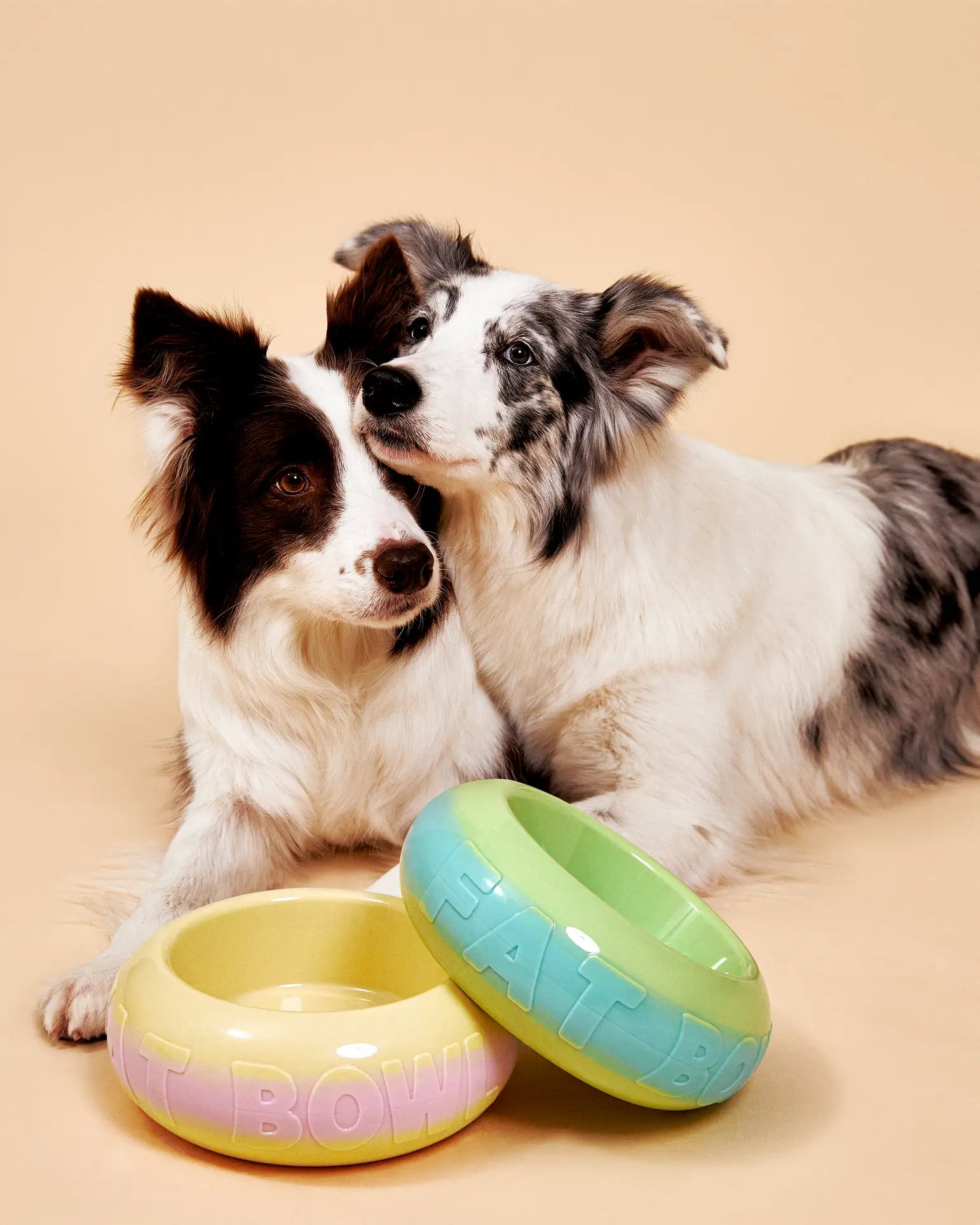 Two Border Collies sit on a beige background with their heads touching. In front are two colorful Plastic Ark Fat Bowls—one yellow, one green—with Plastic Ark branding, both made from recycled plastic.