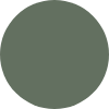 Color Image