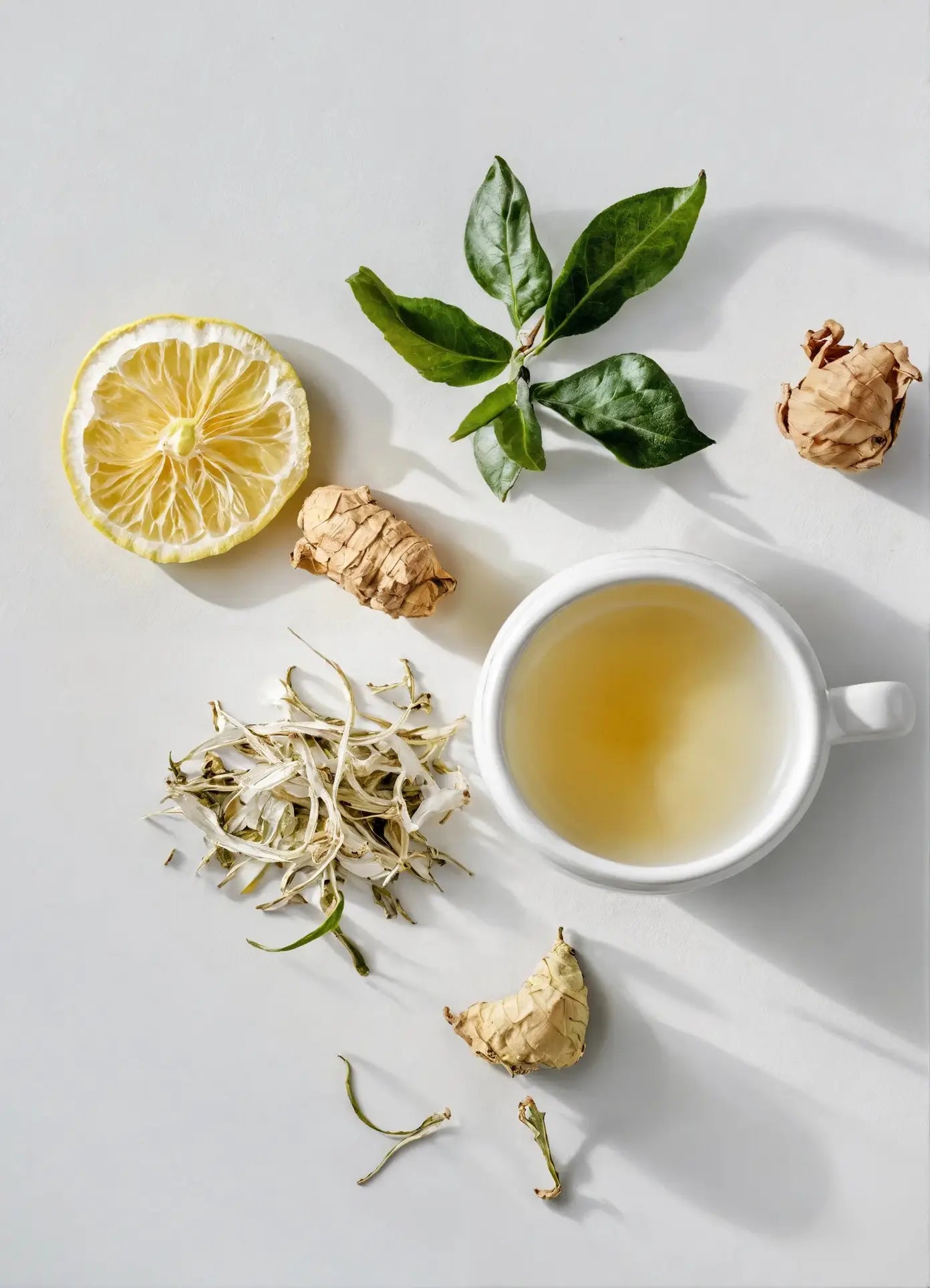 A white 10oz Reminds Me Of Grand Hotel Lobby candle by Reminds Me Of sits on a white surface, surrounded by a lemon slice, fresh green leaves, spicy ginger pieces, and dried white tea leaves.